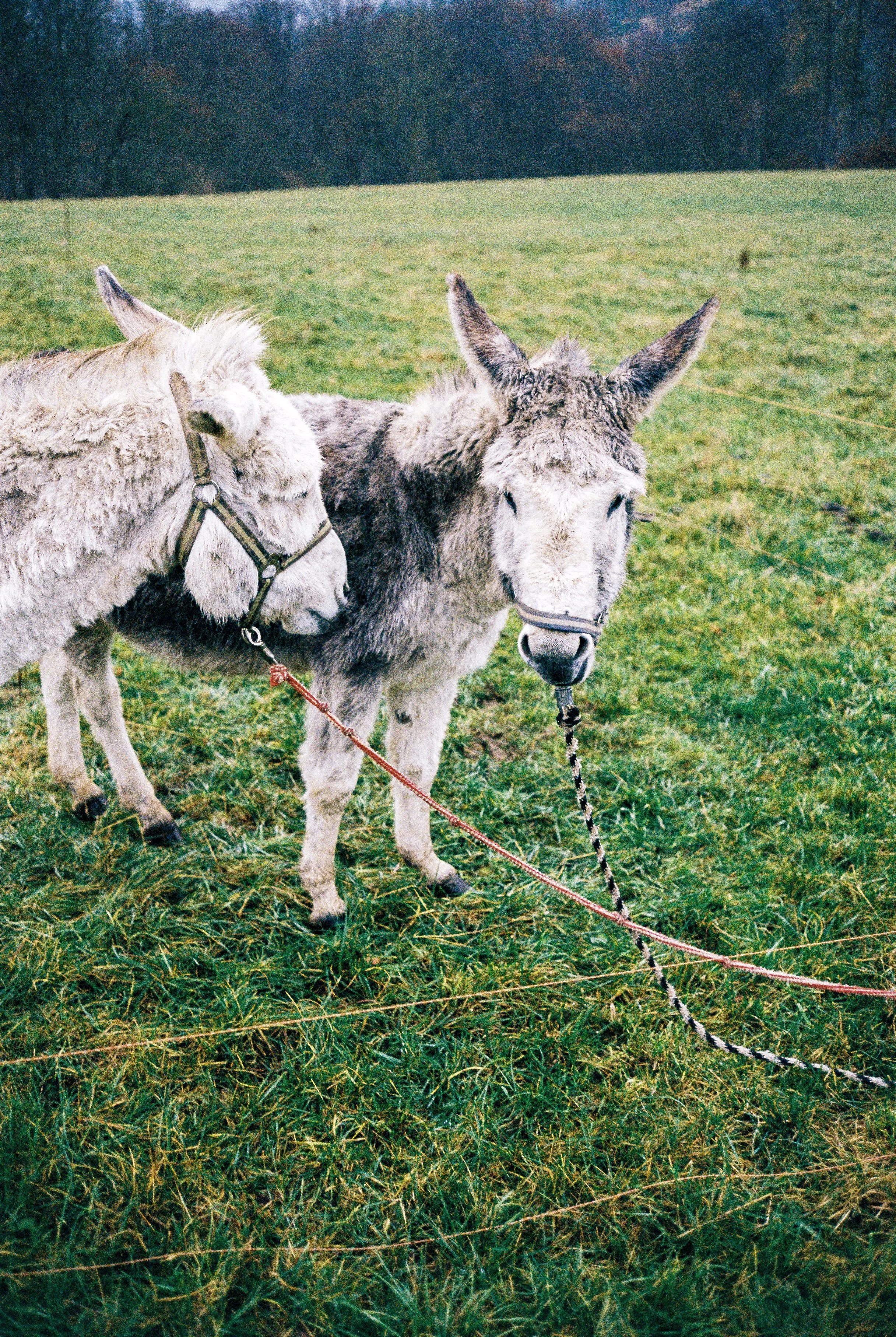 wohin_soll's_gehen© Janek Kindel_14.jpg