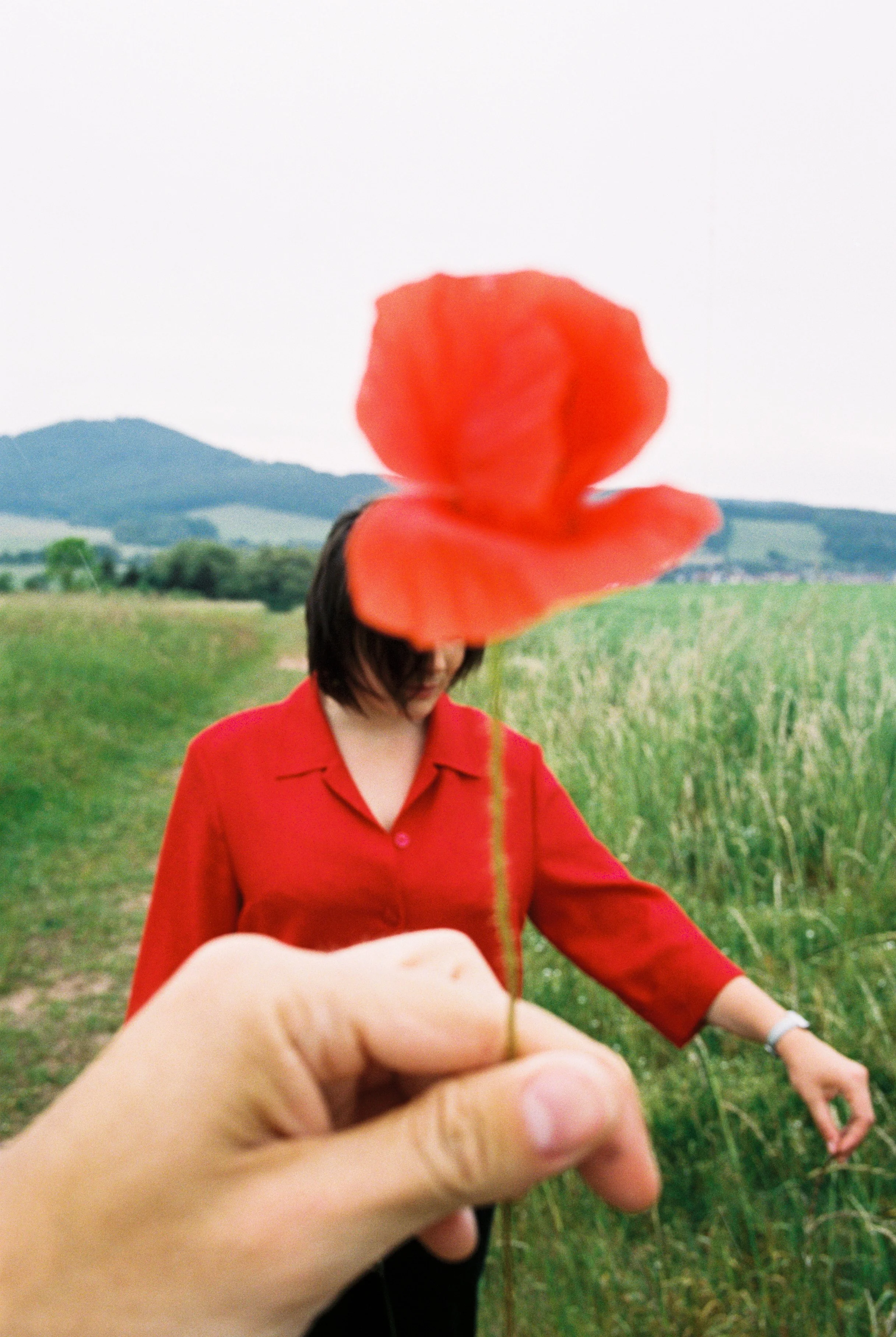 poppy © Janek Kindel.jpg