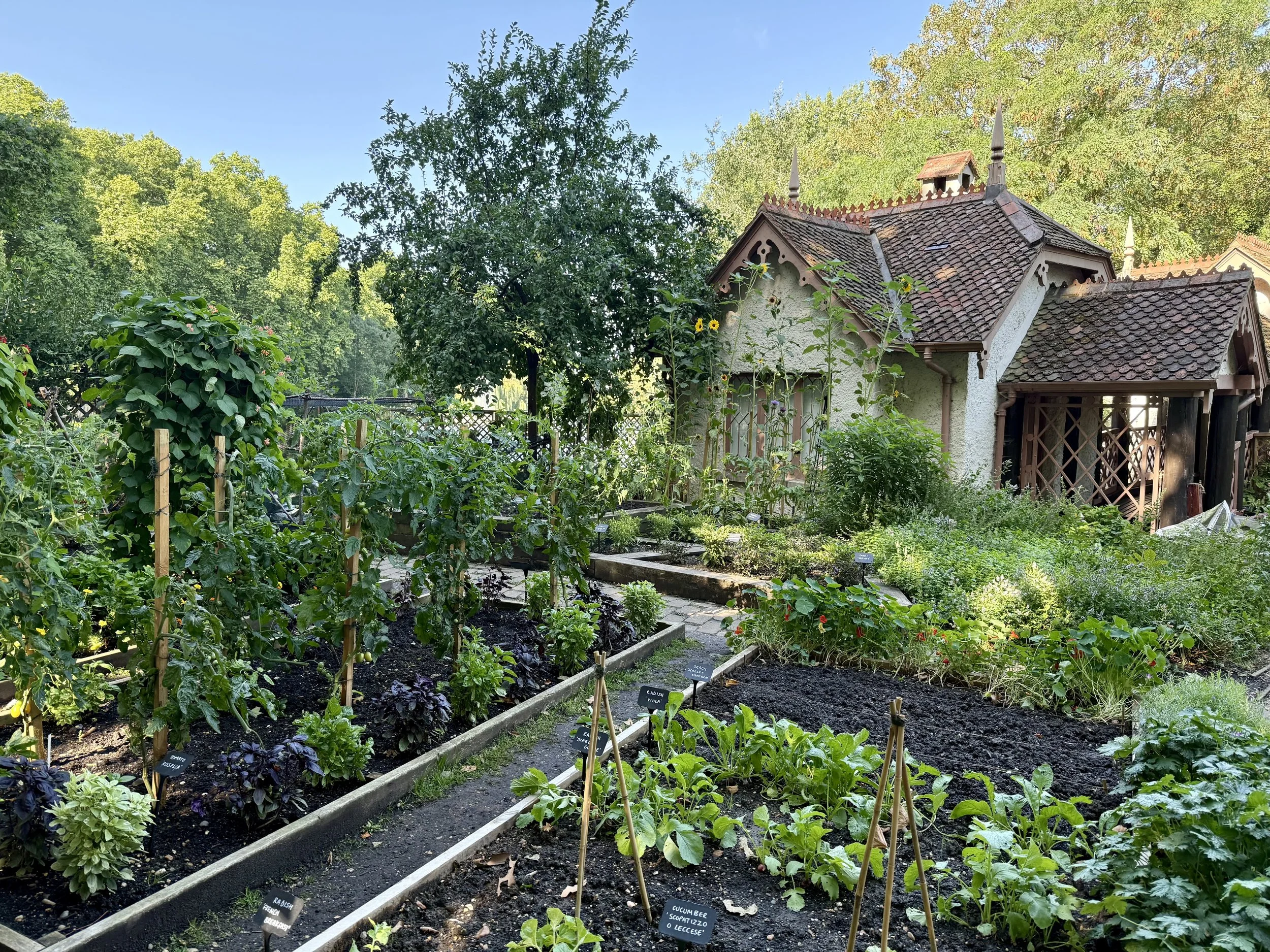 St. James Park, London