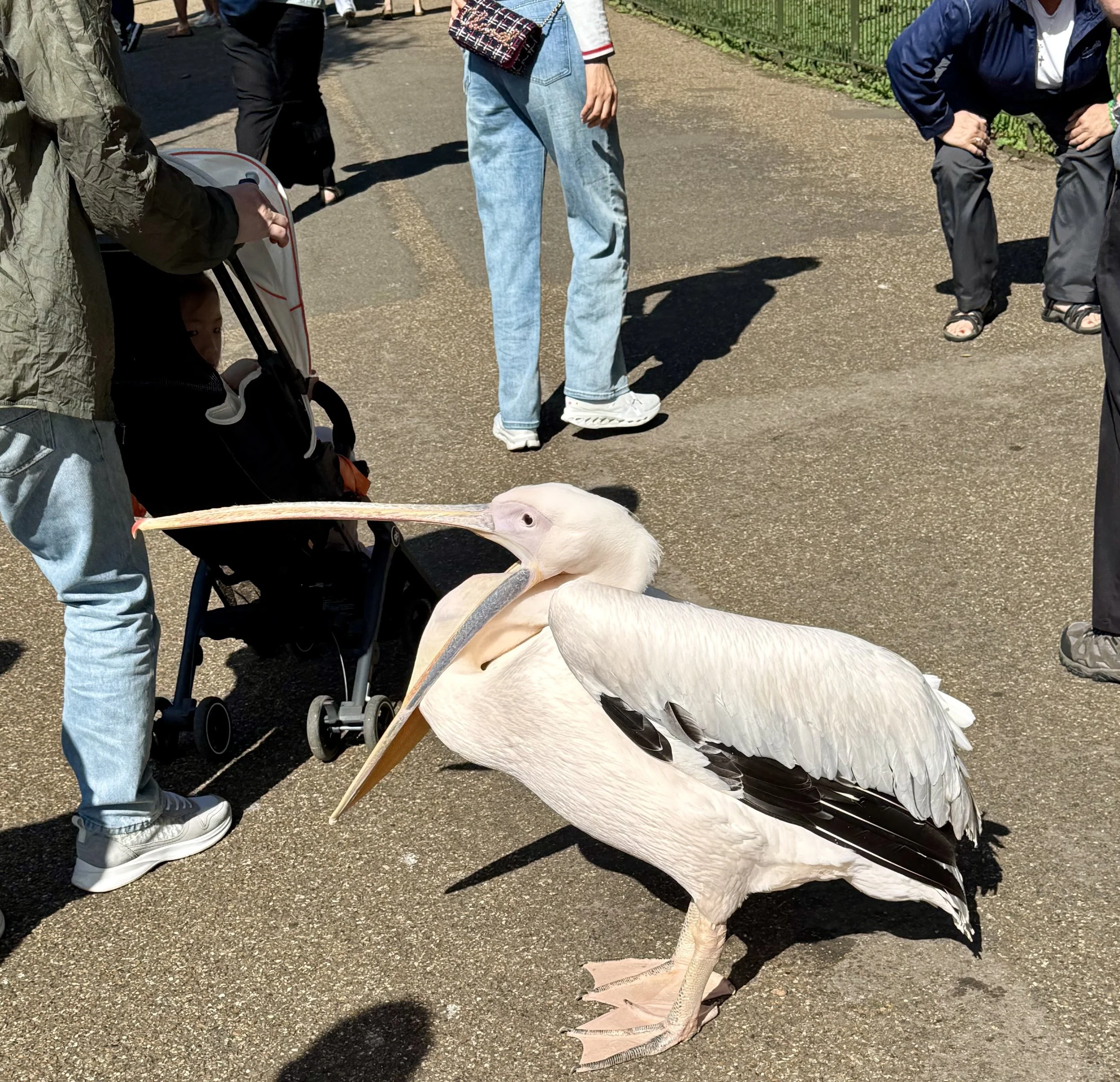 St. James Park, London