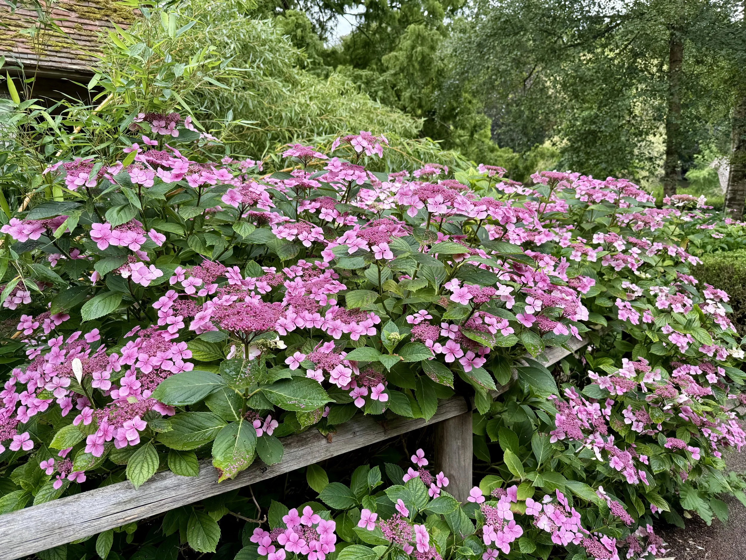 Leeds Castle Grounds