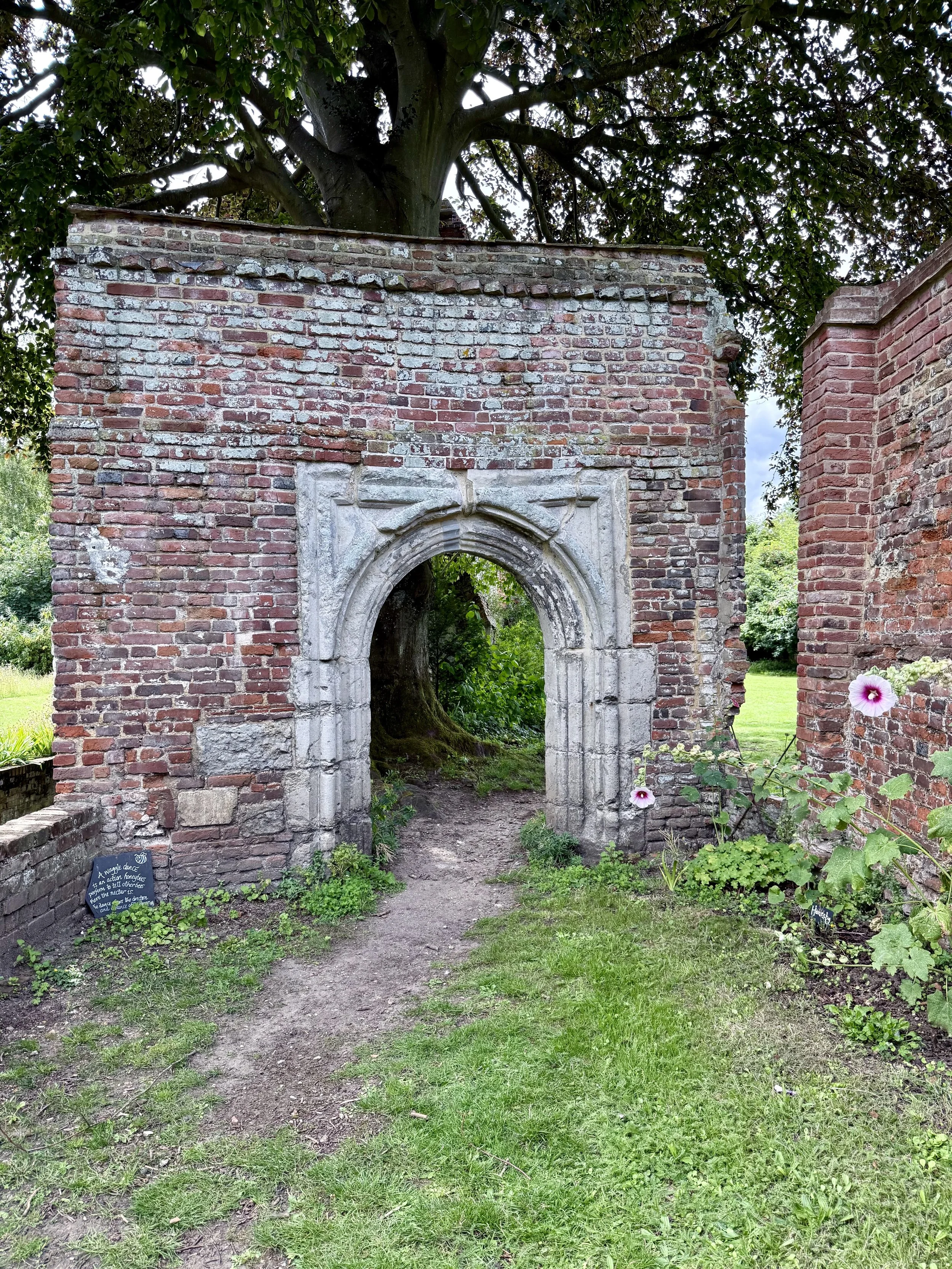A secret garden in Canterbury!