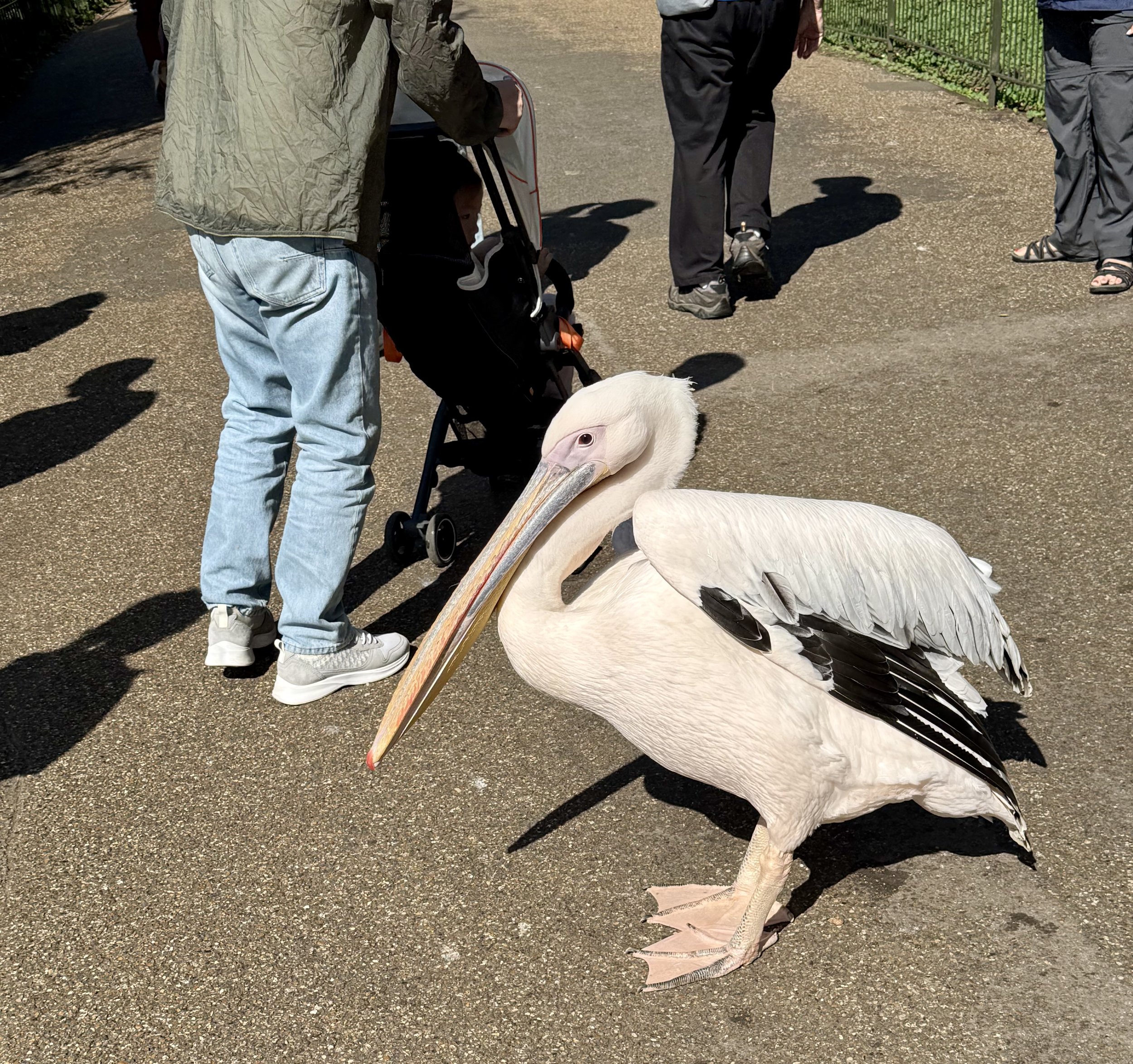 St. James Park, London