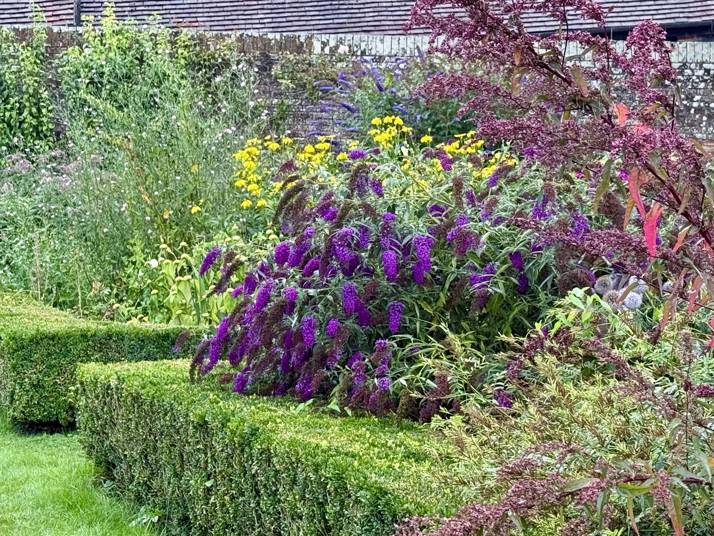 Leeds Castle Grounds