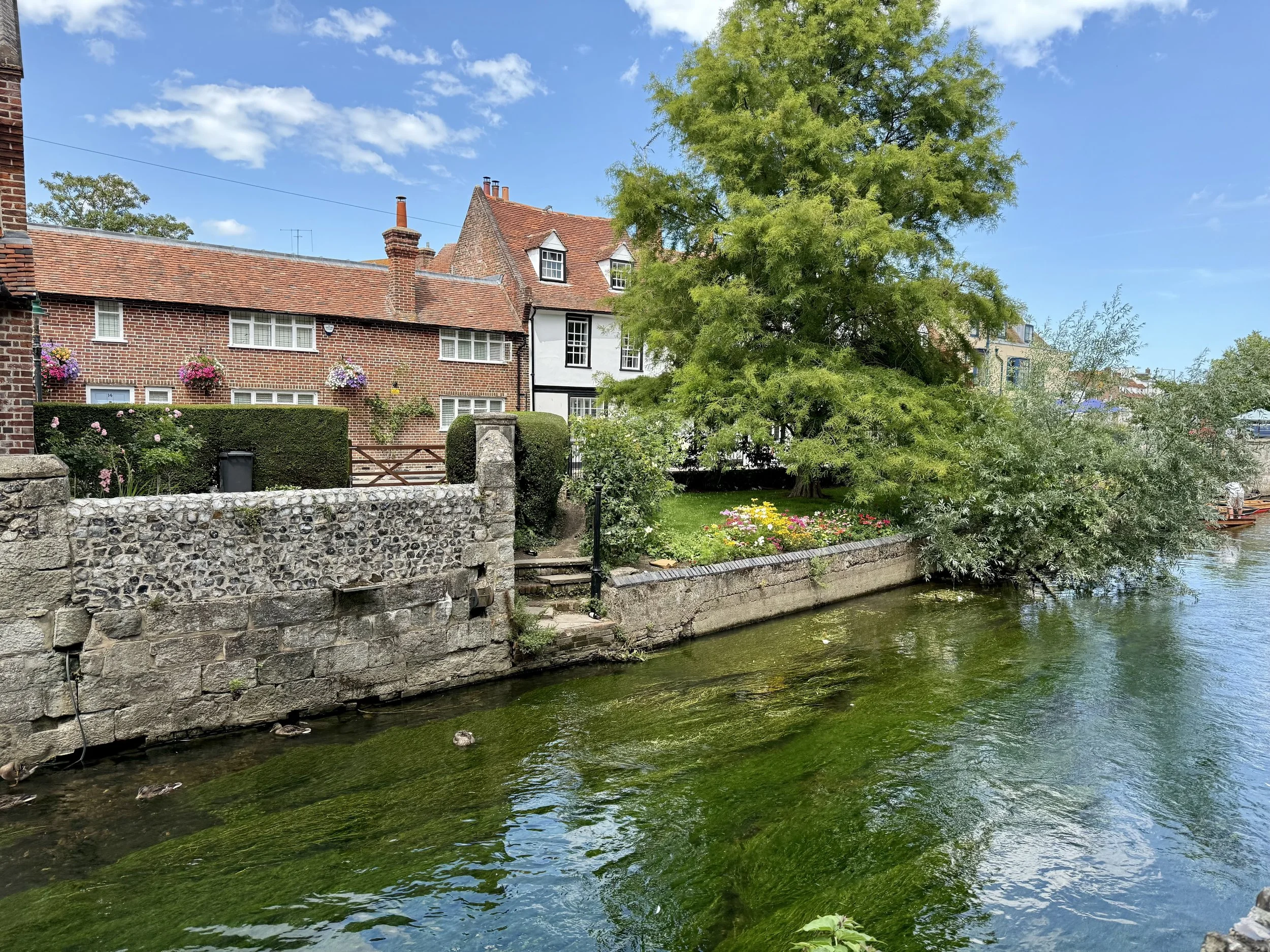 The Great River Stour