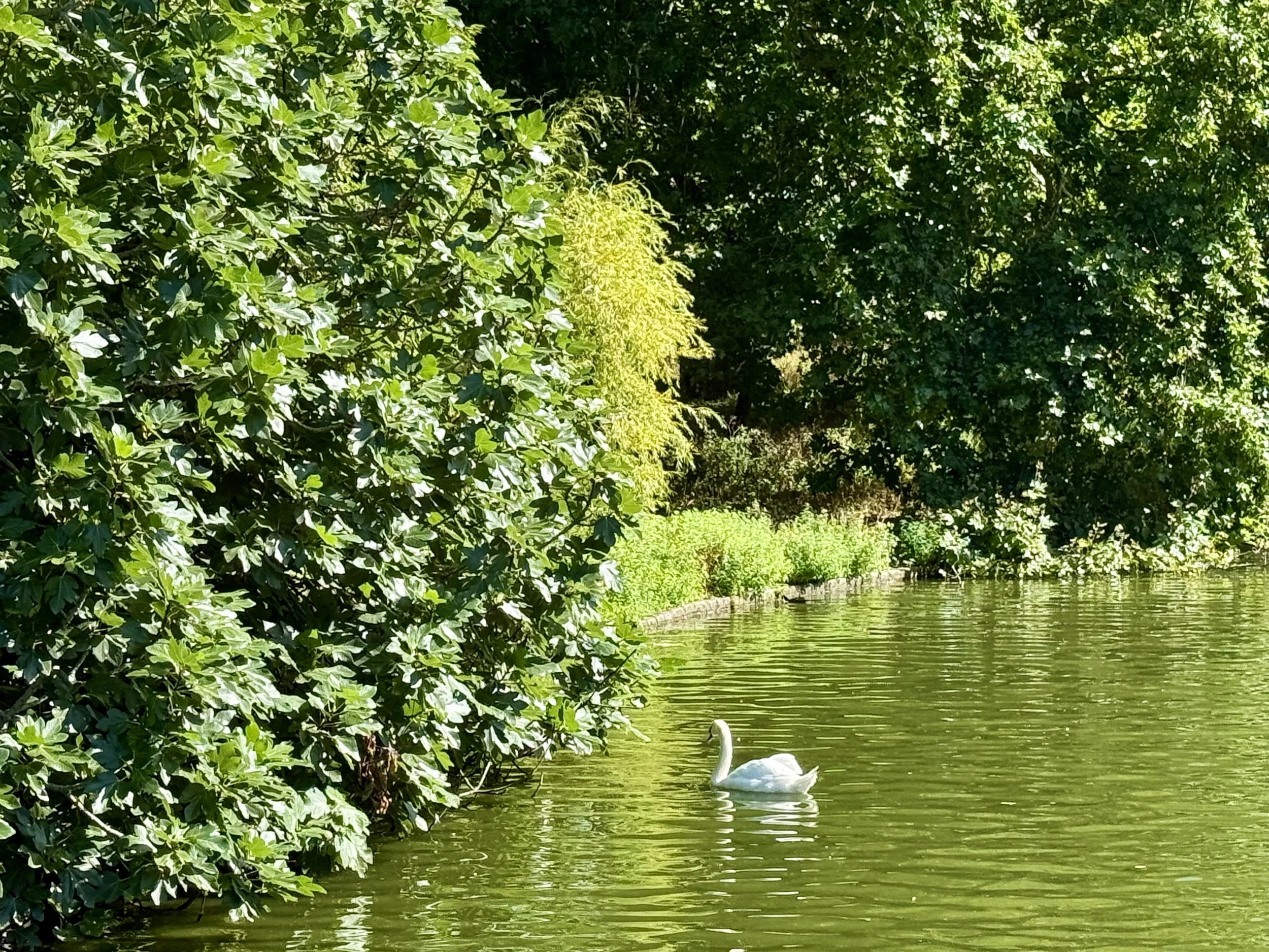 St. James Park, London