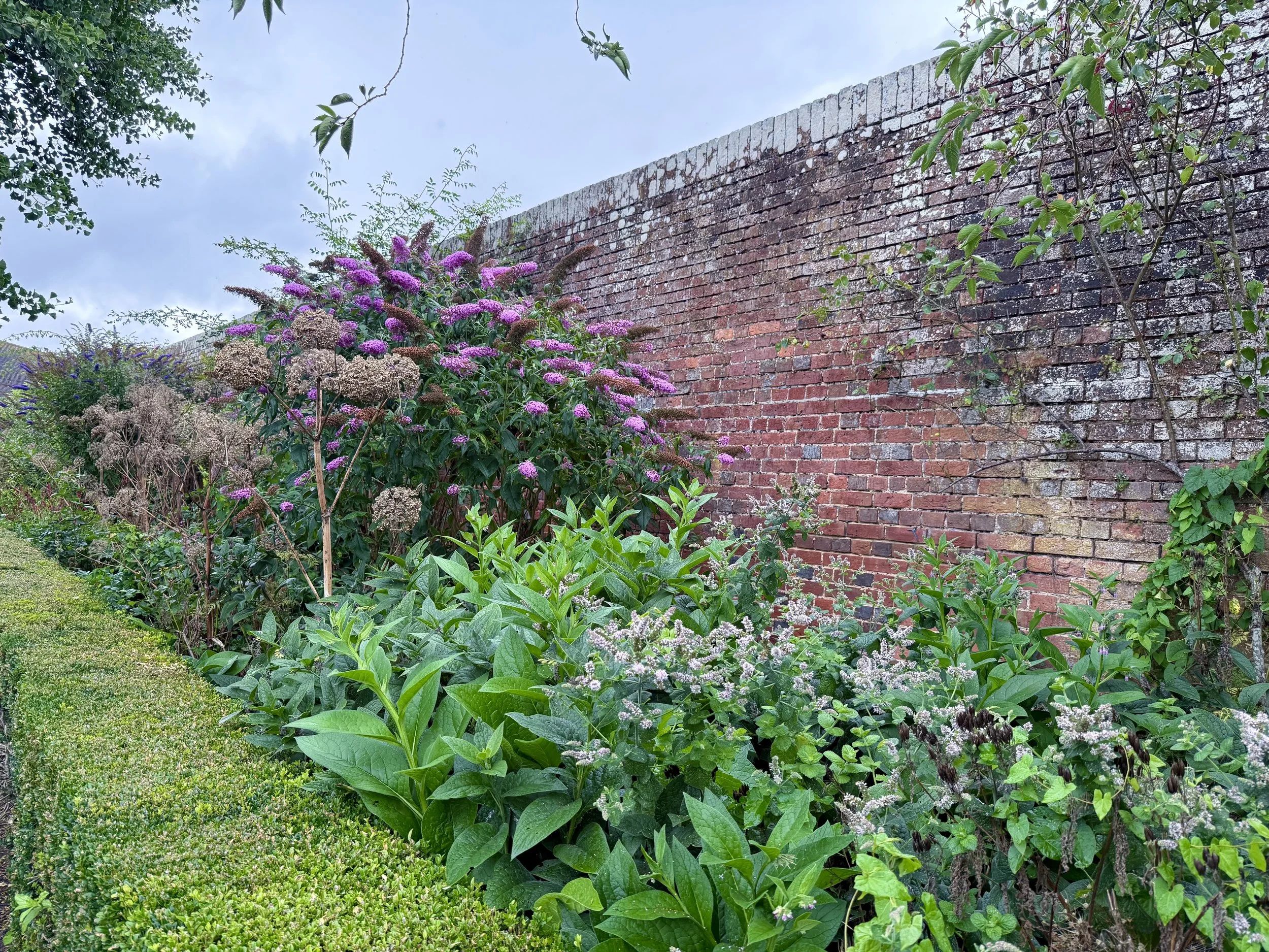 Leeds Castle Grounds