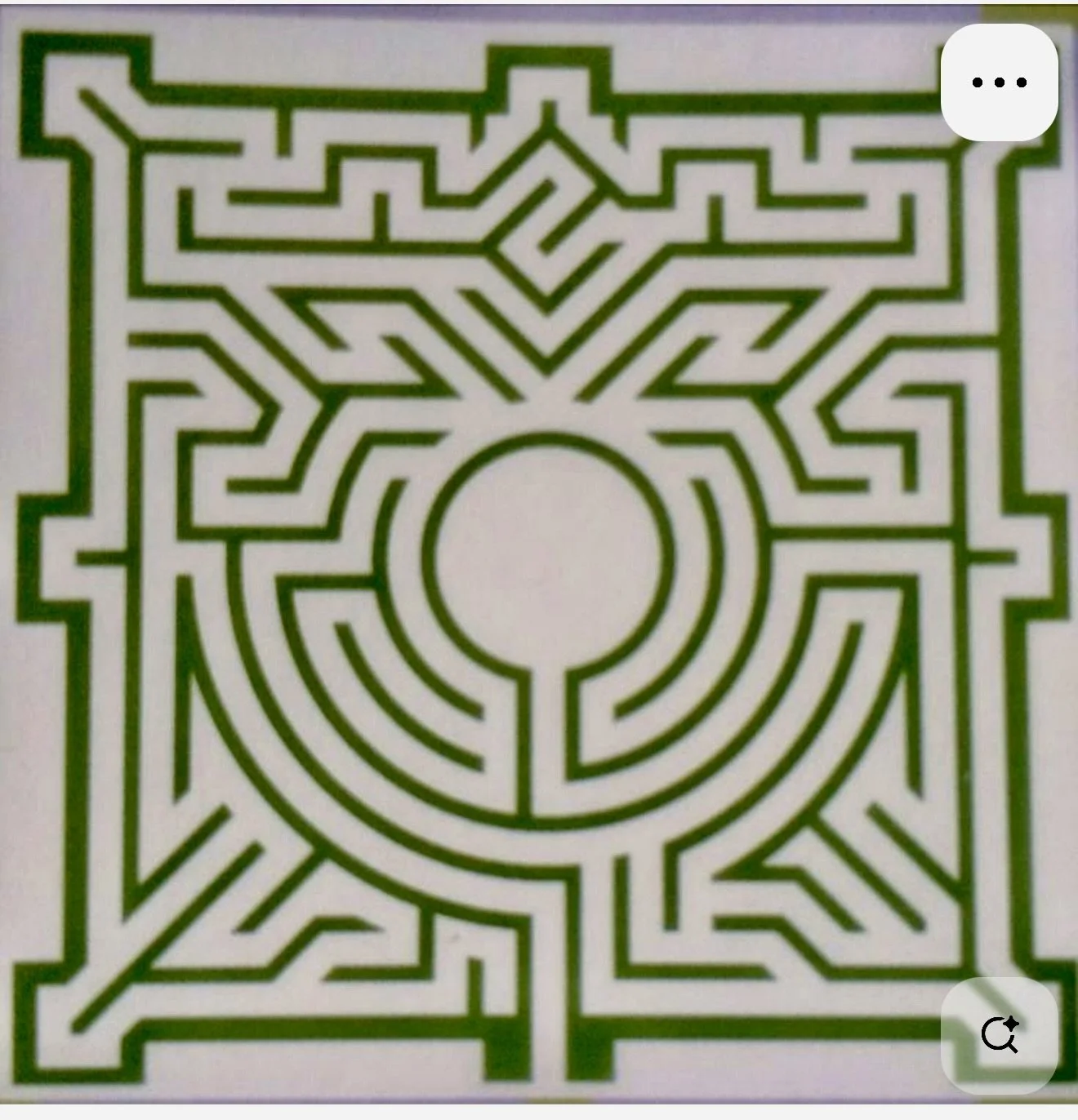 We got lost in the Leeds castle maze, but eventually found our way out into the beautiful gardens....