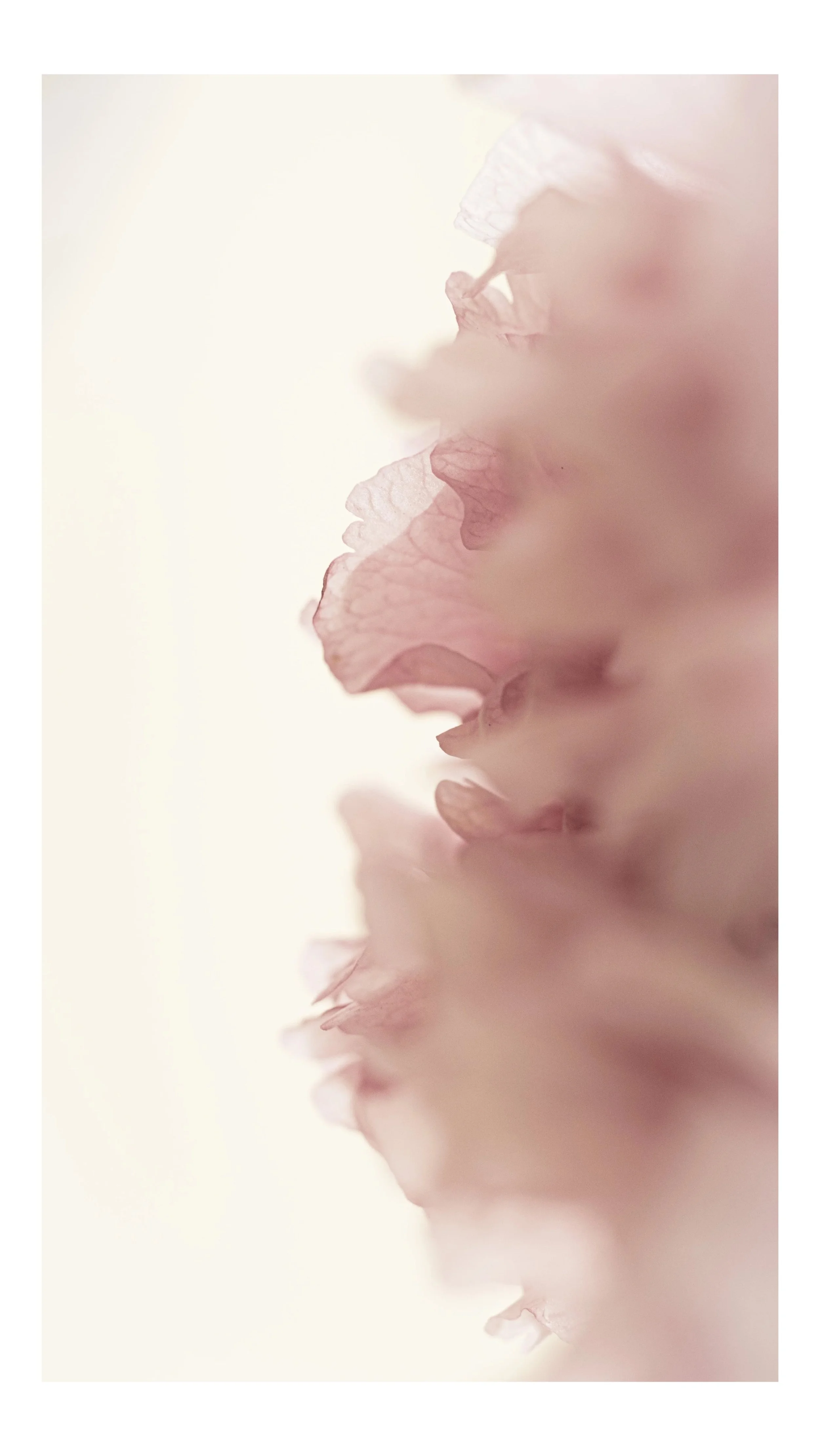 Somnia 02