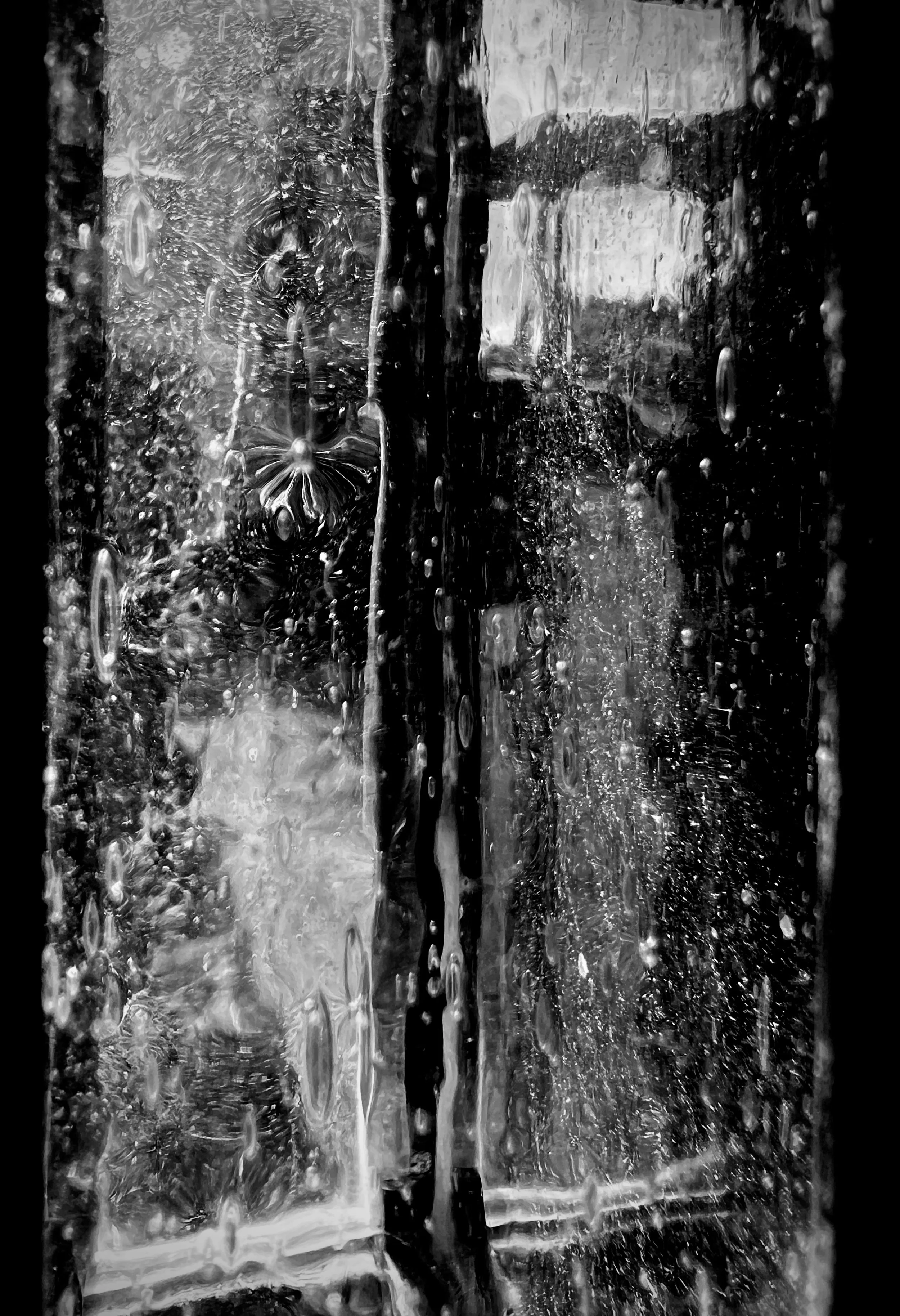 Vestige 01