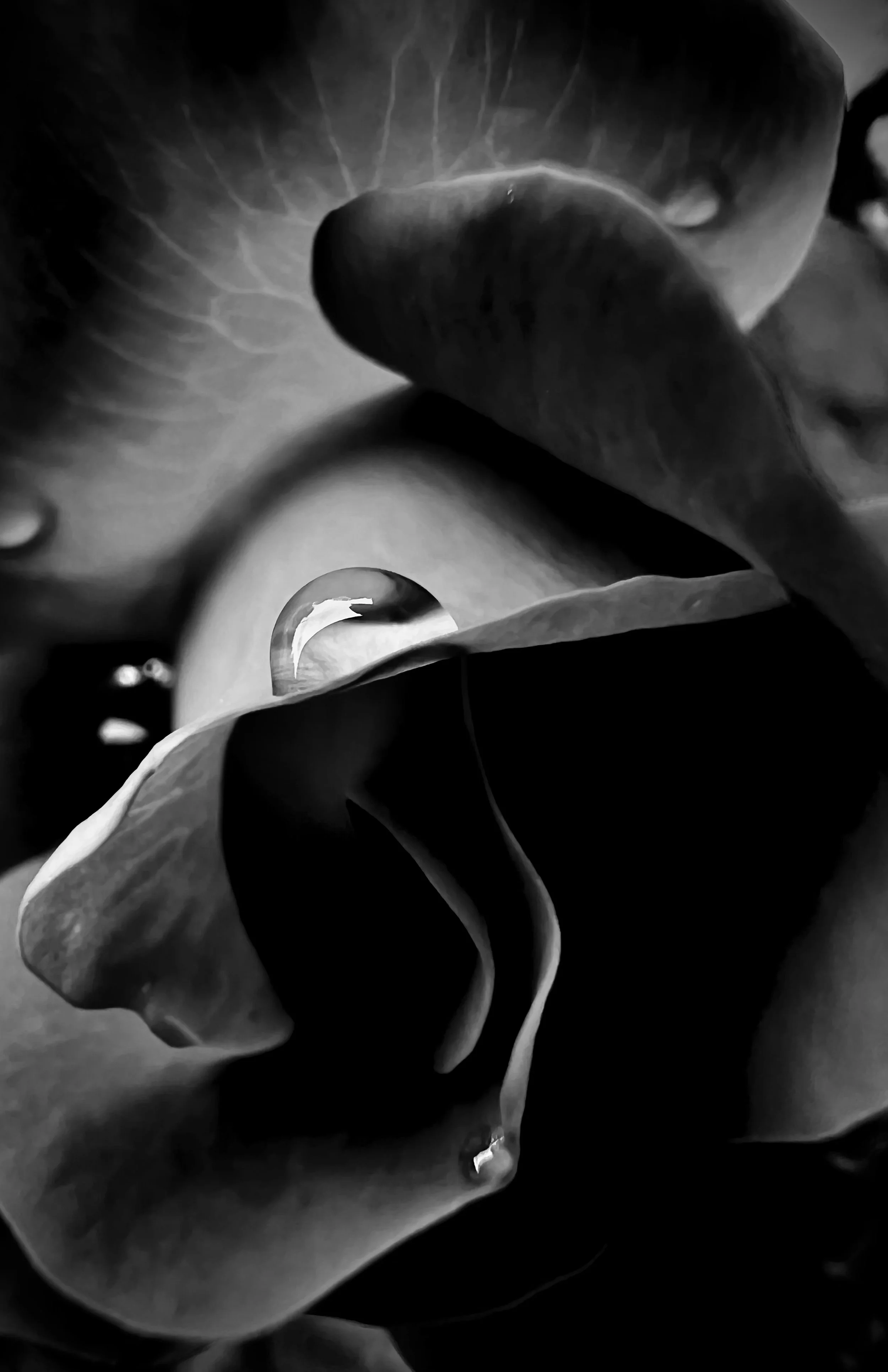Quiescence 01