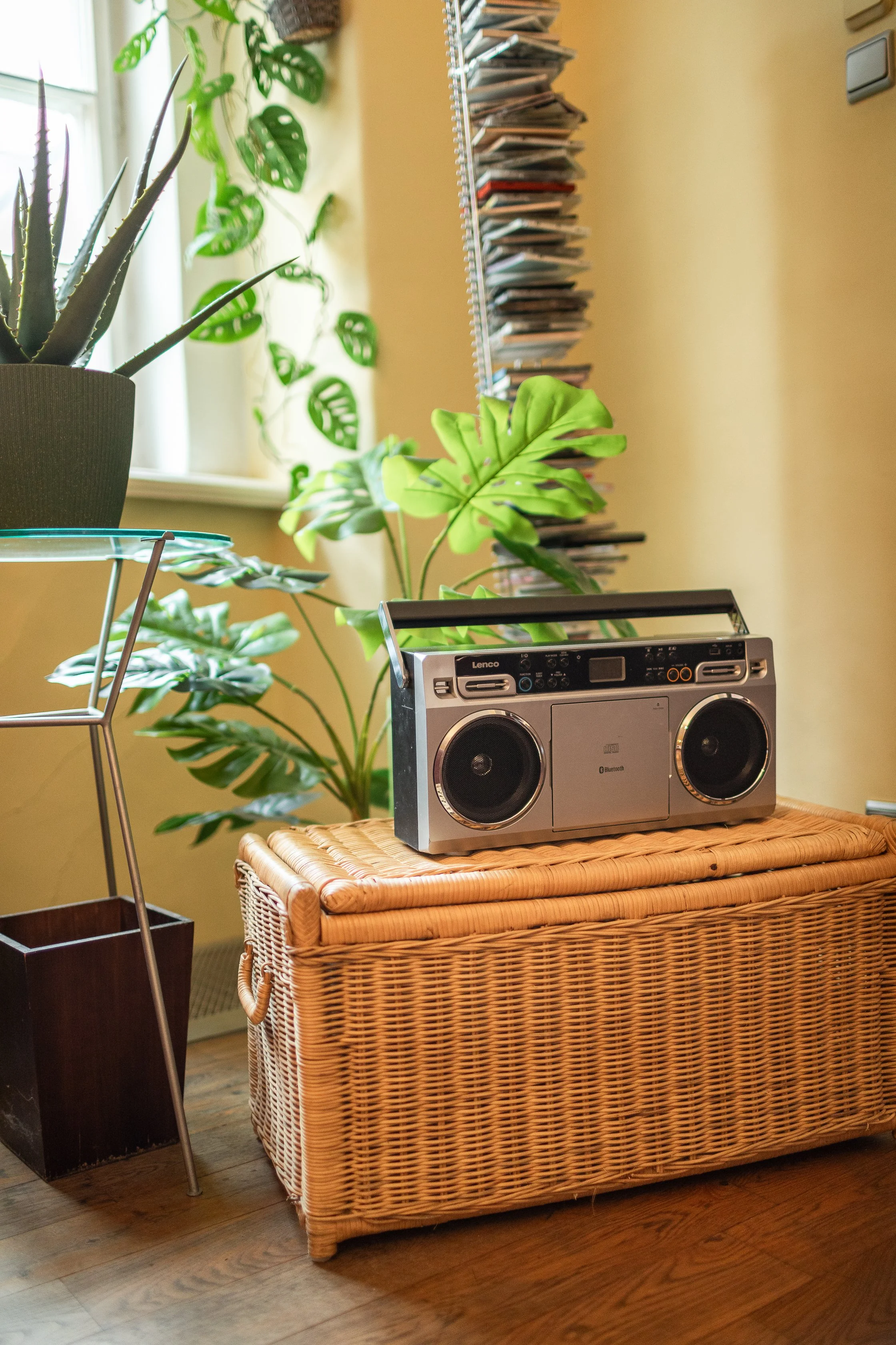 A framed photo, indoor plants including a large aloe vera and a monstera, a vintage boombox, a wicker storage chest, and a wooden floor.