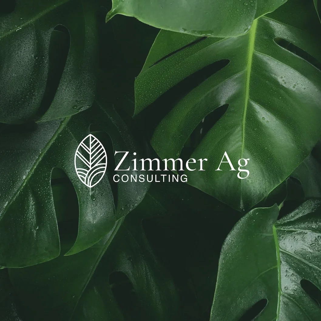 logo design and branding services  custom logo design services business logo design services  logo design company online logo design services  creative logo design services  branding and identity design services branding services of a design agency b