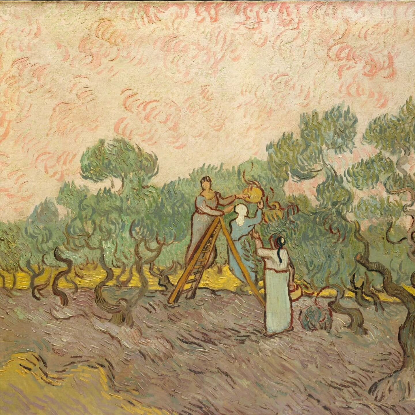 Van Gogh and me - plus ca change.

More notes on olive picking on the latest edition of the newsletter:  https://houseinprovence.substack.com
