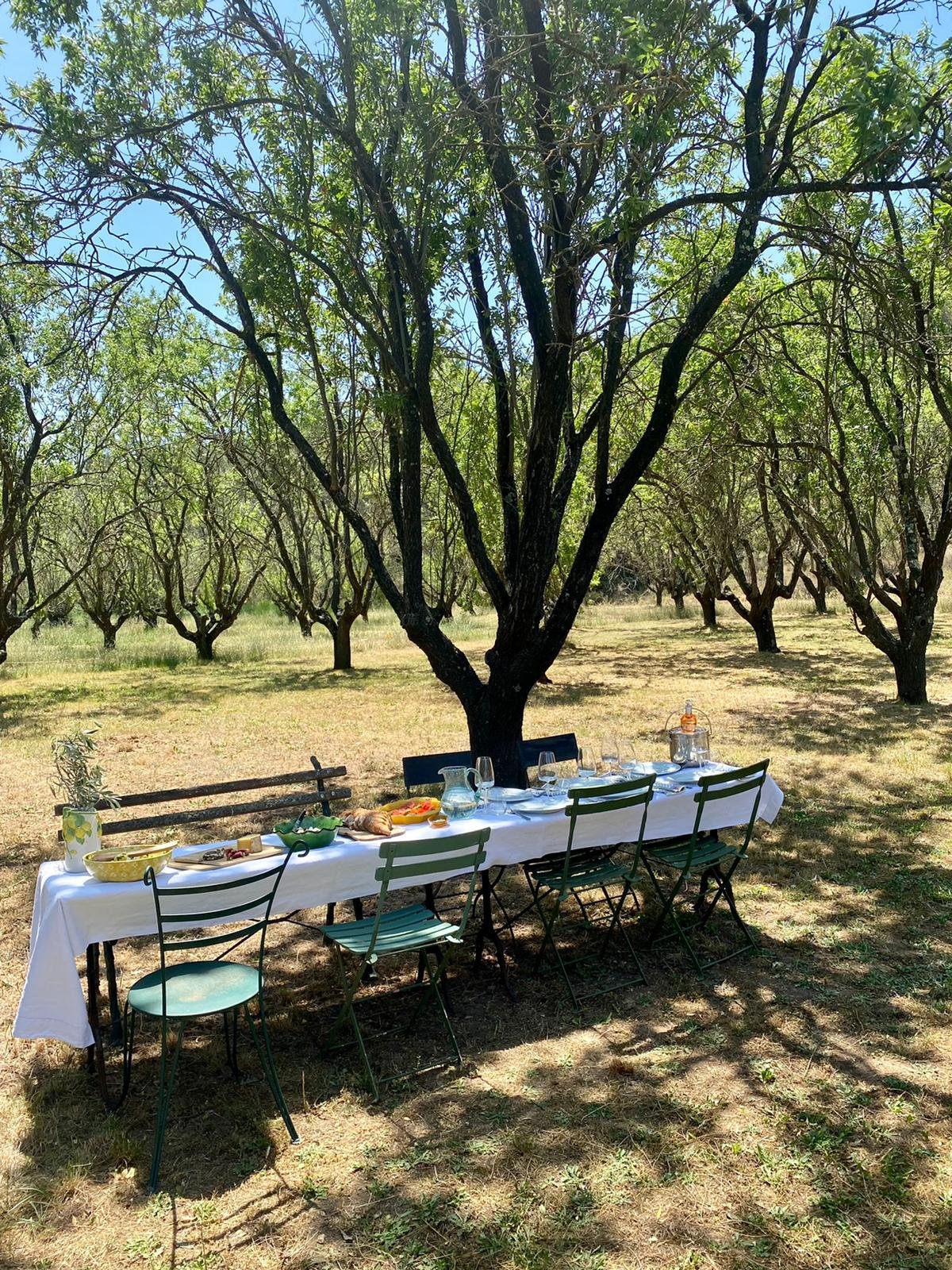 Barbentane-table.jpg