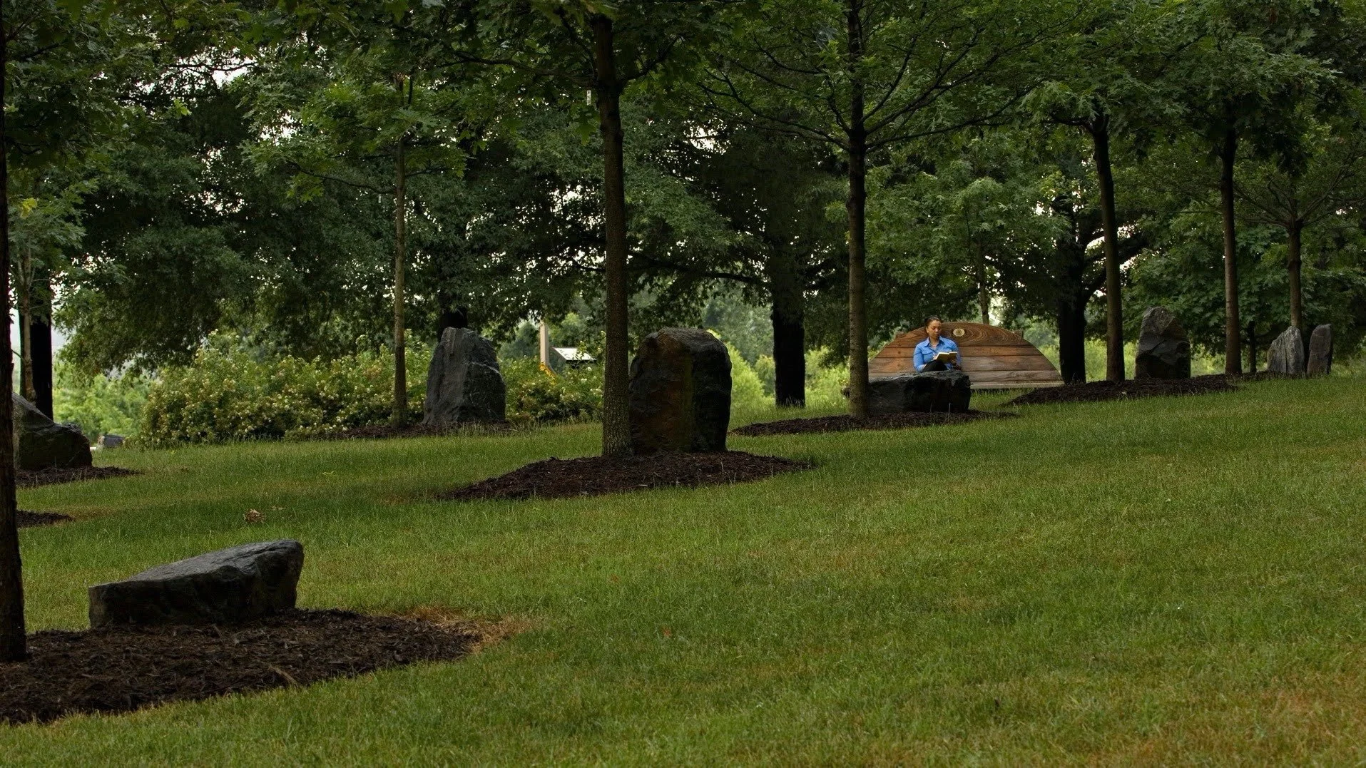 NS Park with rocks and trees and bench.jpg