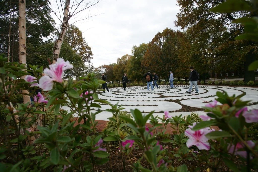 NS Floral.jpg