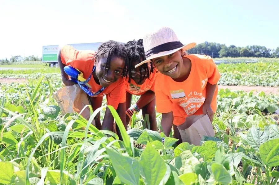 imgi_2_kids-farm-days-harvesting-2024-green-beans-900w.jpeg