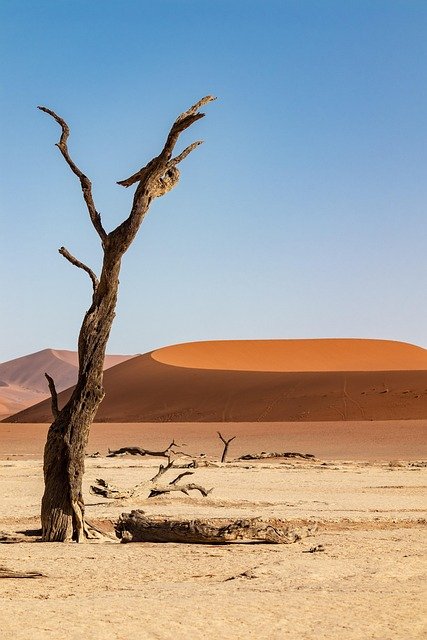 Dessert in the Desert                                            by Amanda Anderson