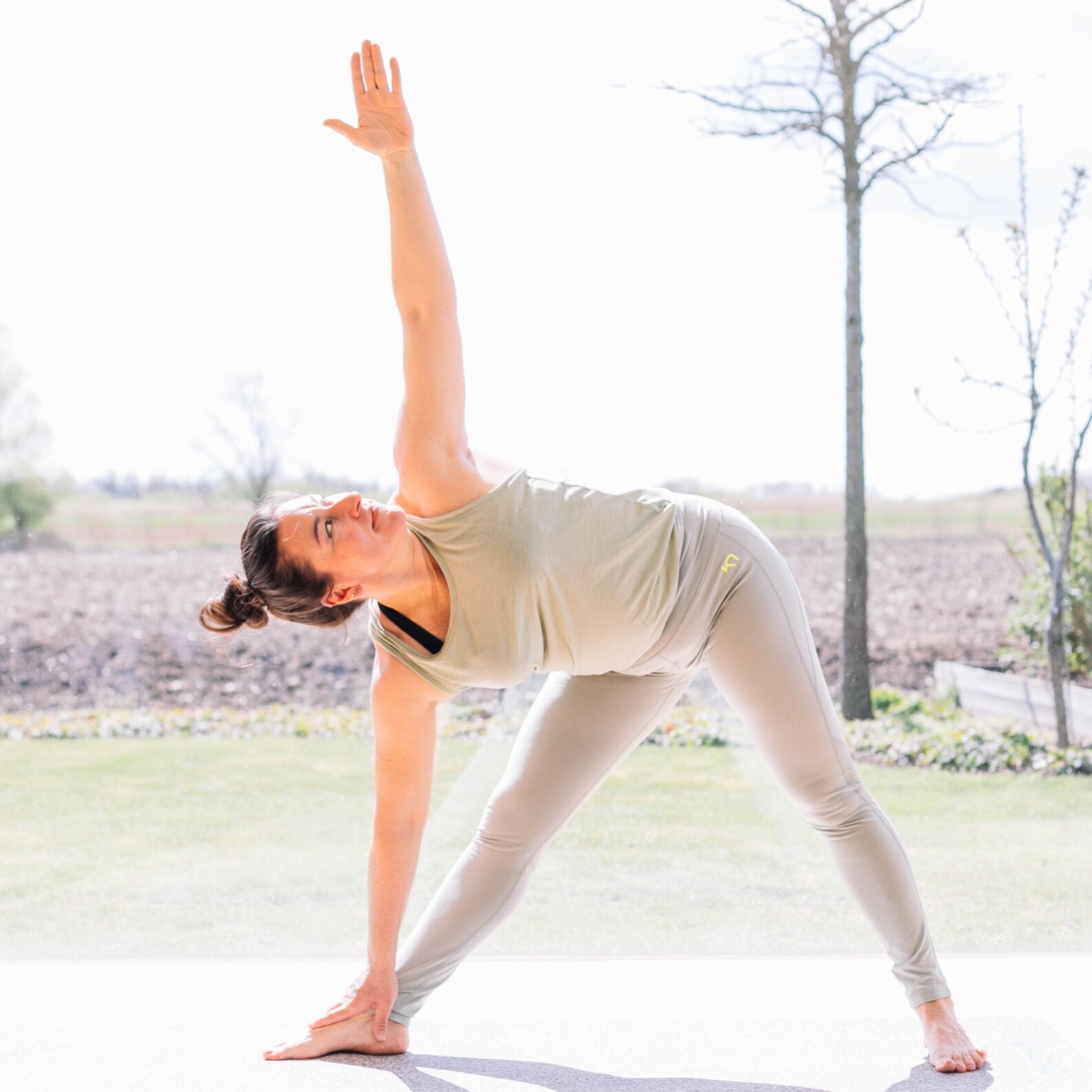 zand Ijzig Aanpassing Workshops & Trainingen — Zensa Yoga Online