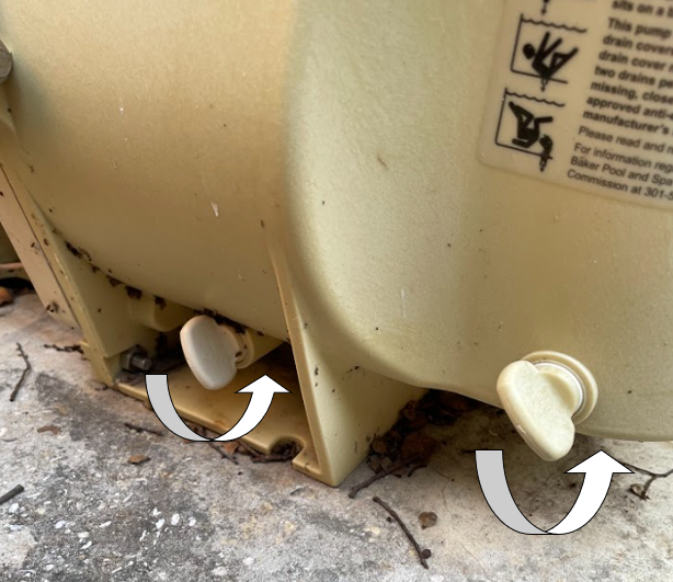  Intelliflo Pump Plugs Dallas 