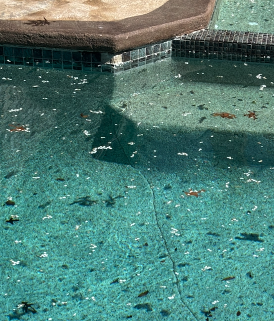  Pool Surface Crack 