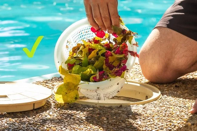  Pool Skimmer Basket Dallas 