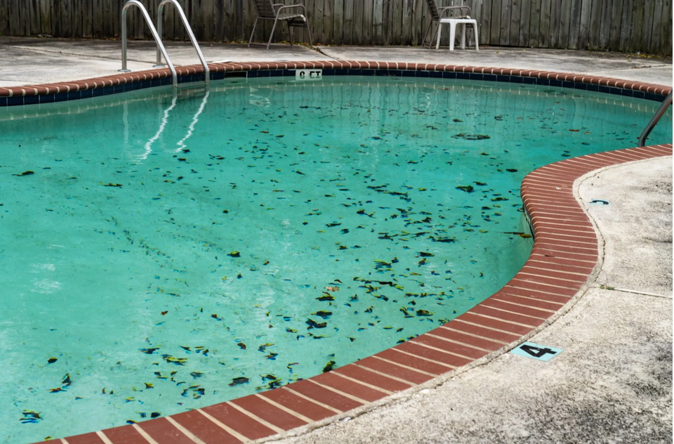  Pool Leaves Dirty Old Mastic Dallas 
