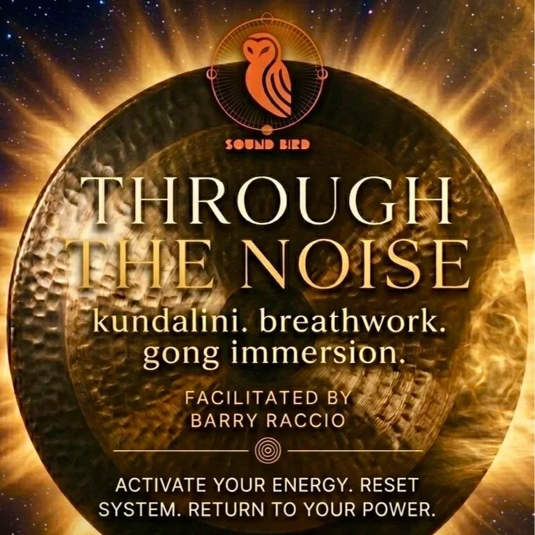 Through The Noise: Kundalini Breathwork • Resonant Clearing • Gong Immersion