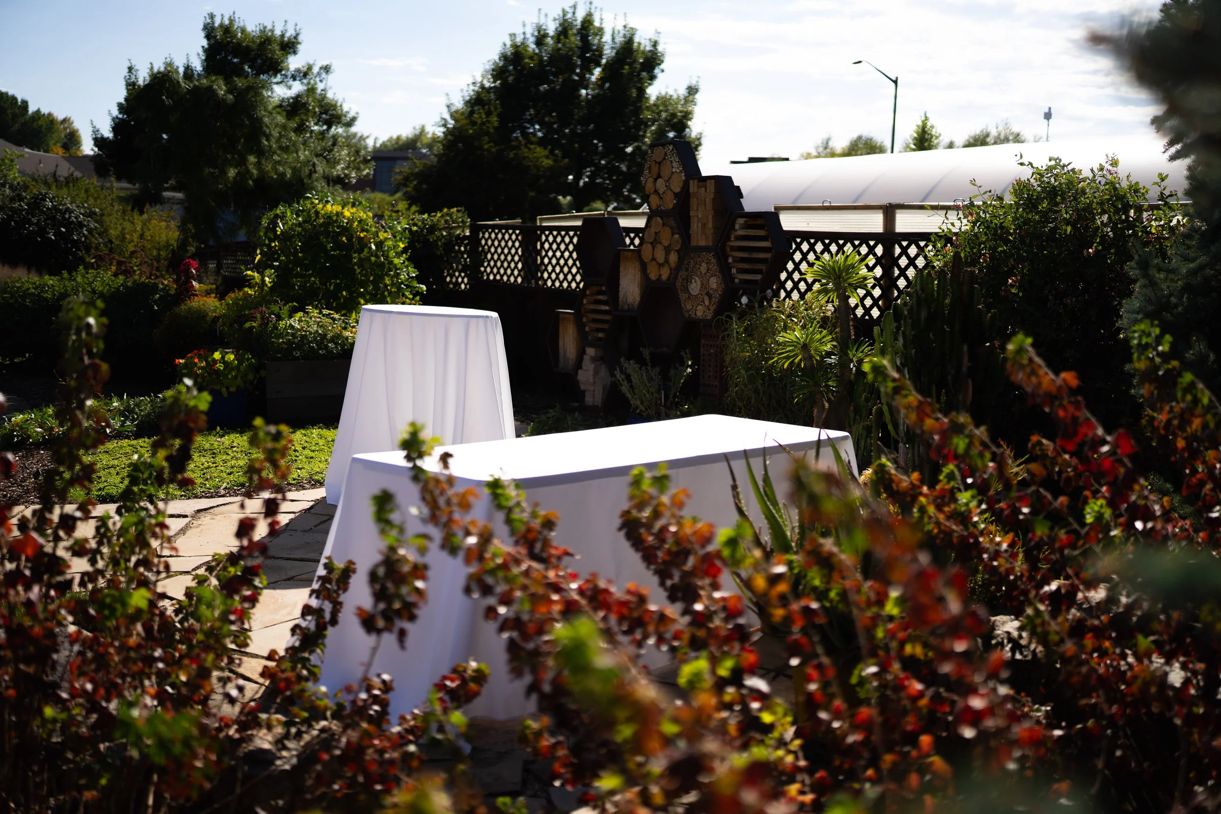 Doug and Oivia-005.jpeg