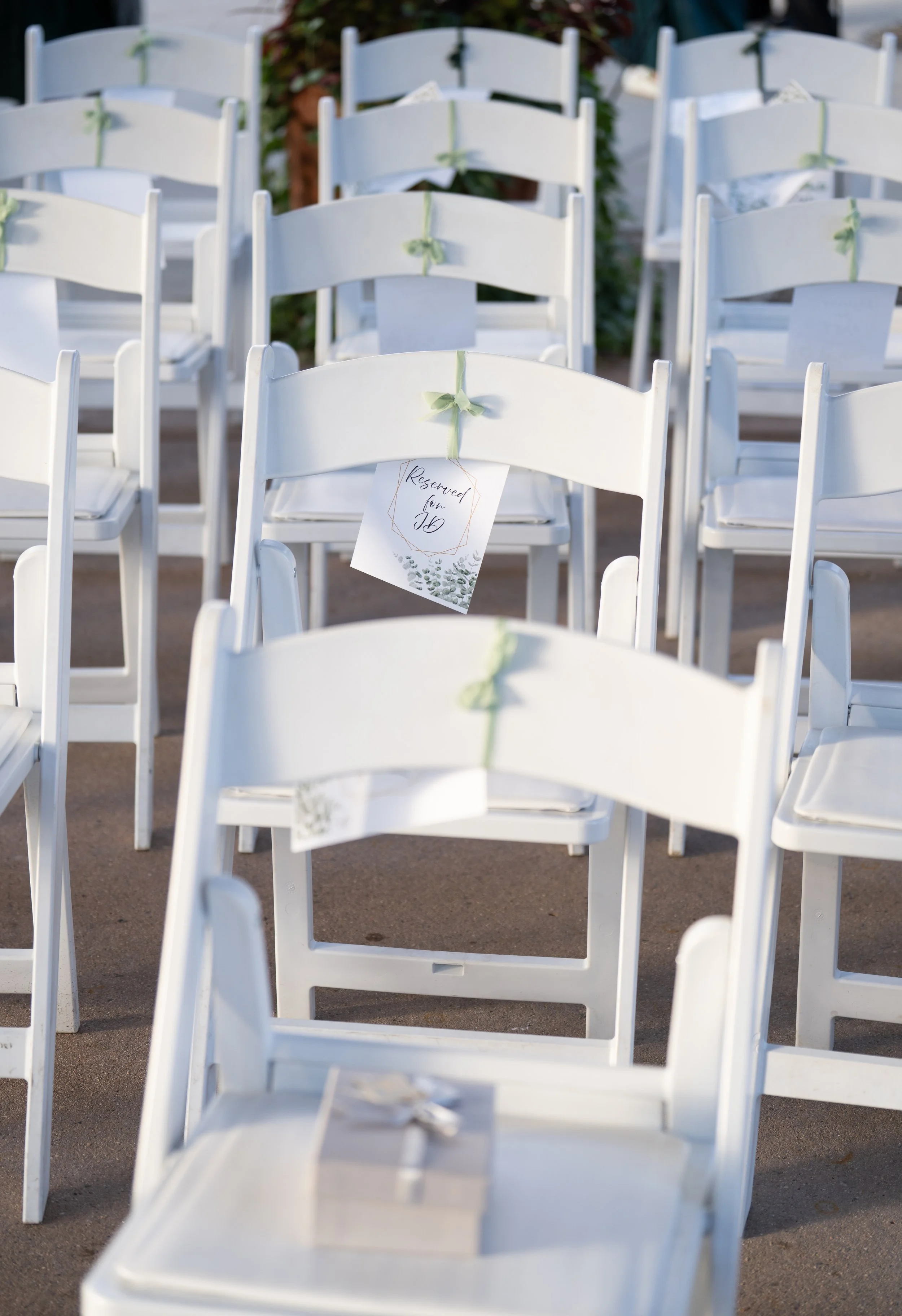 Doug and Oivia-165.jpeg