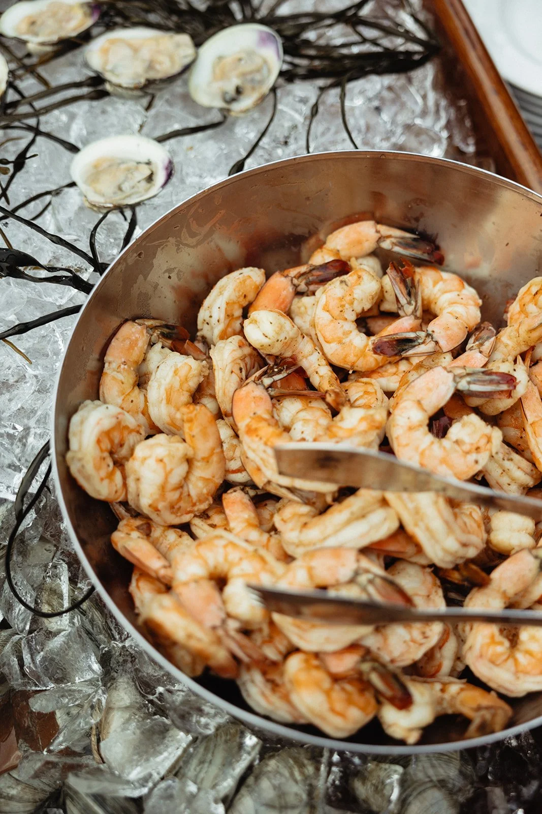 Sydney & Matt - Martha's Vineyard Wedding - Larisa Stinga Photography -September 28, 2024-1395__websize.jpg