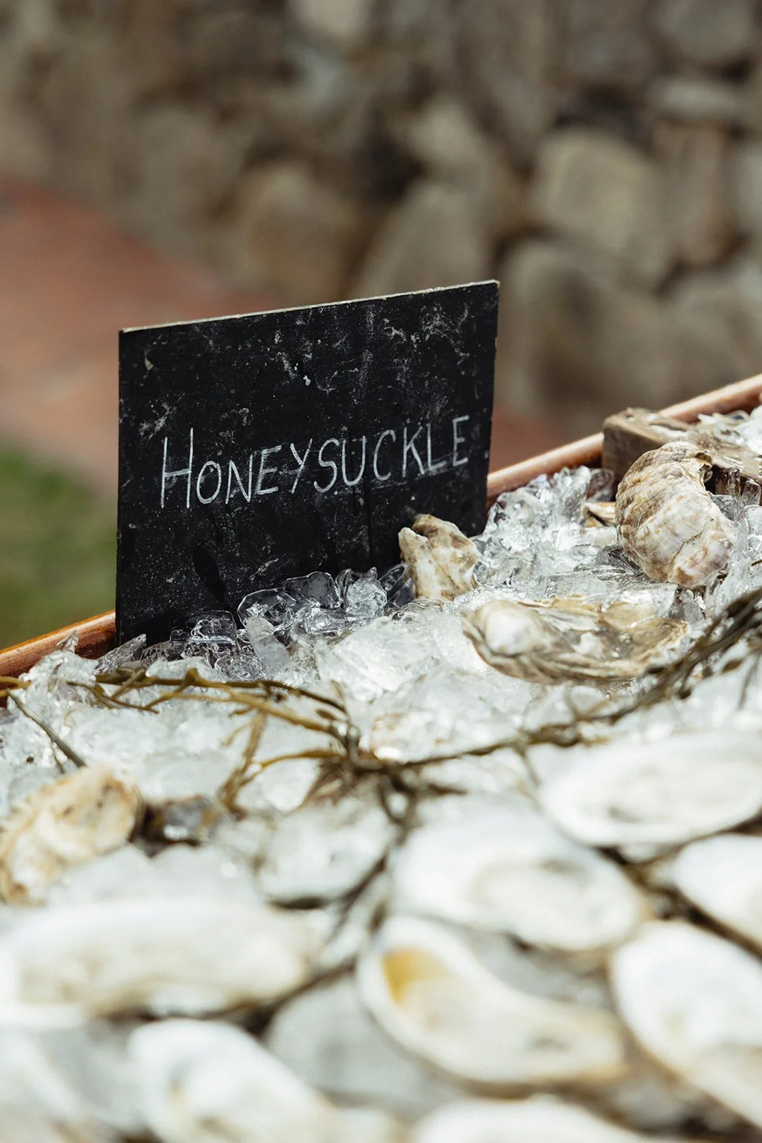 Sydney & Matt - Martha's Vineyard Wedding - Larisa Stinga Photography -September 28, 2024-1327__websize.jpg