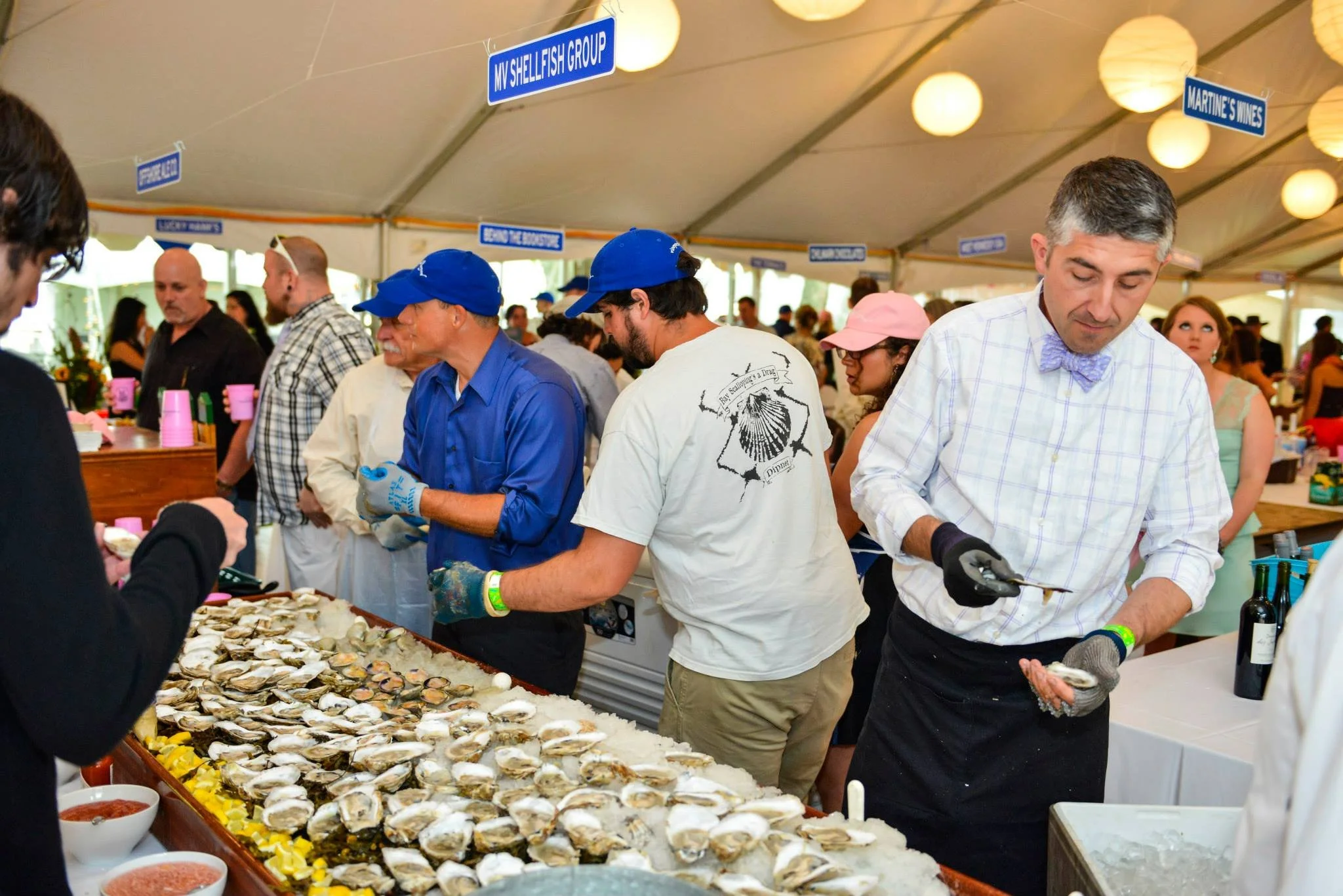 Taste of the Vineyard.jpg