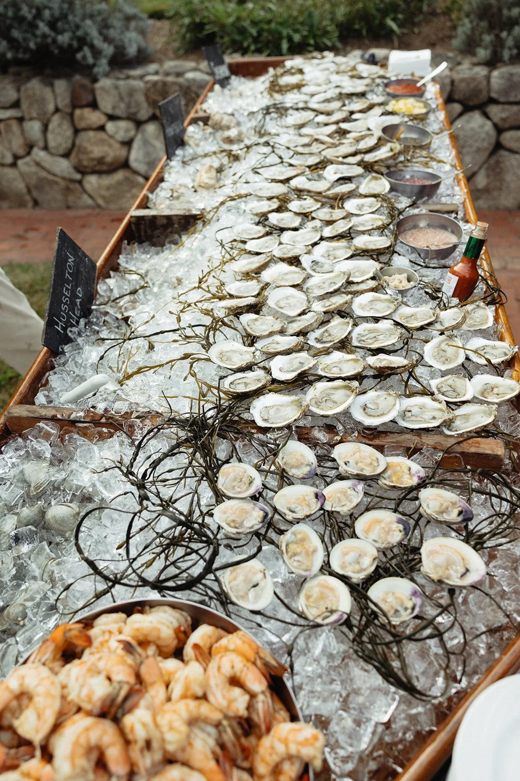 Sydney & Matt - Martha's Vineyard Wedding - Larisa Stinga Photography -September 28, 2024-1319__websize.jpg