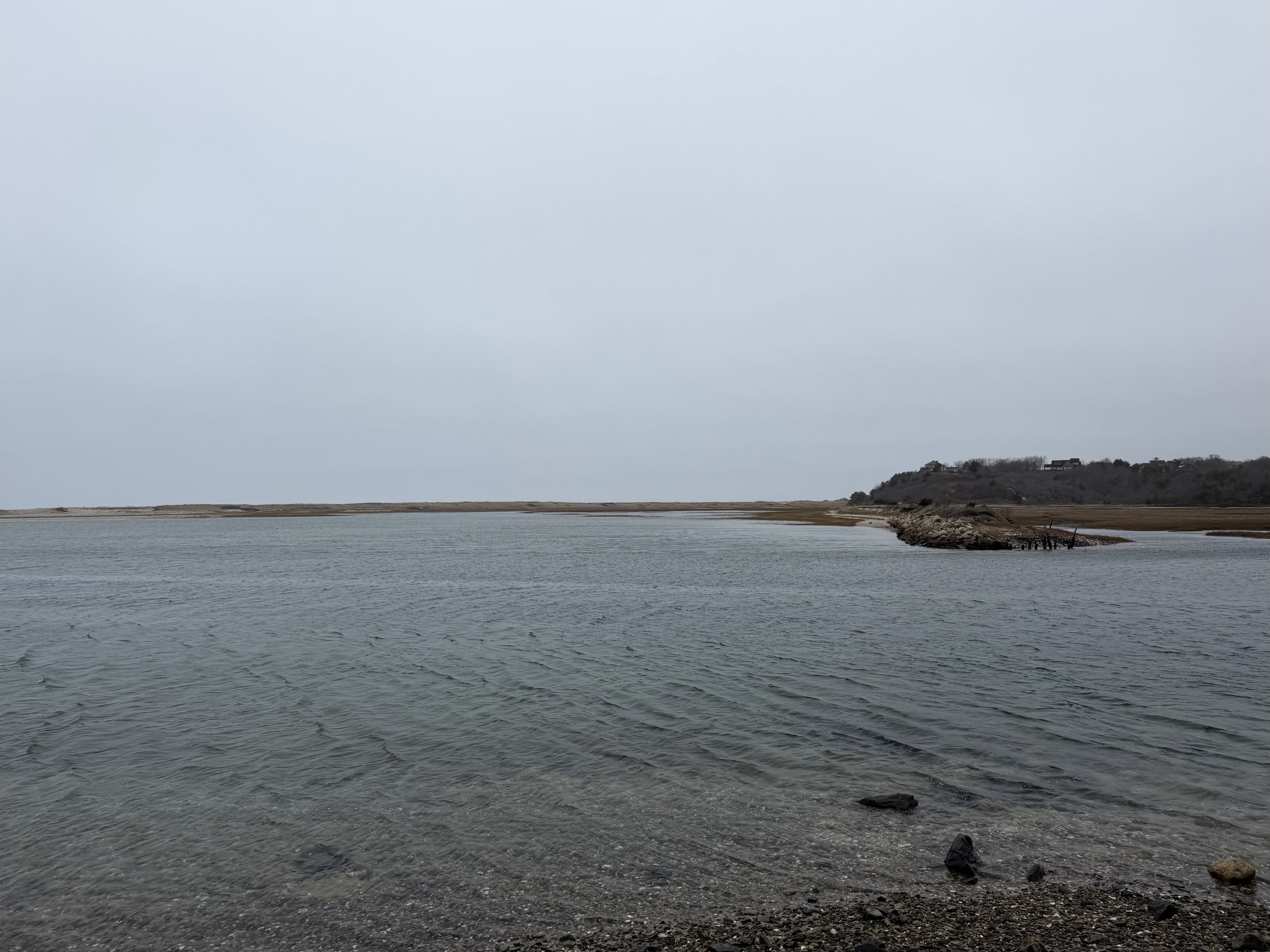 Easter has come and gone… but spring hasn’t quite caught up.