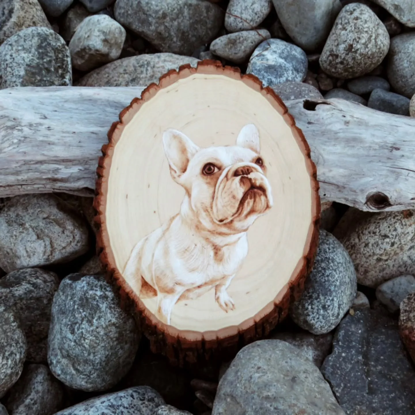 I've woodburned 5 different frenchies as commissions so far...love them 💛🐶
.
.
#woodcraft #frenchie #frenchbulldog #woodburn #pyrographyartist #dogportrait