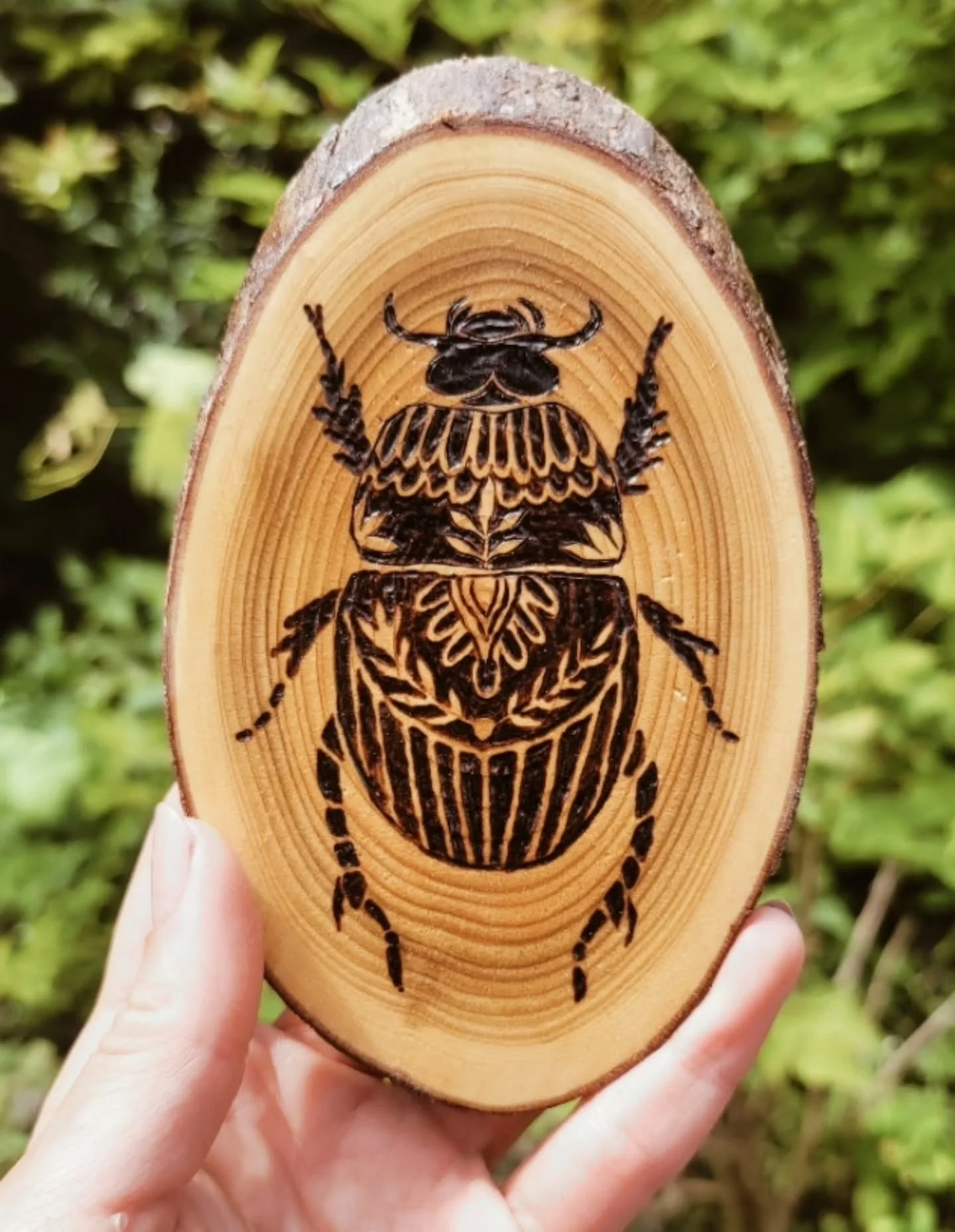 Beetle Design 🪲 
.
.
#woodburning #pyrographyartist #pyrography #woodburningart #woodcraft #woodworking #beetle #illustration