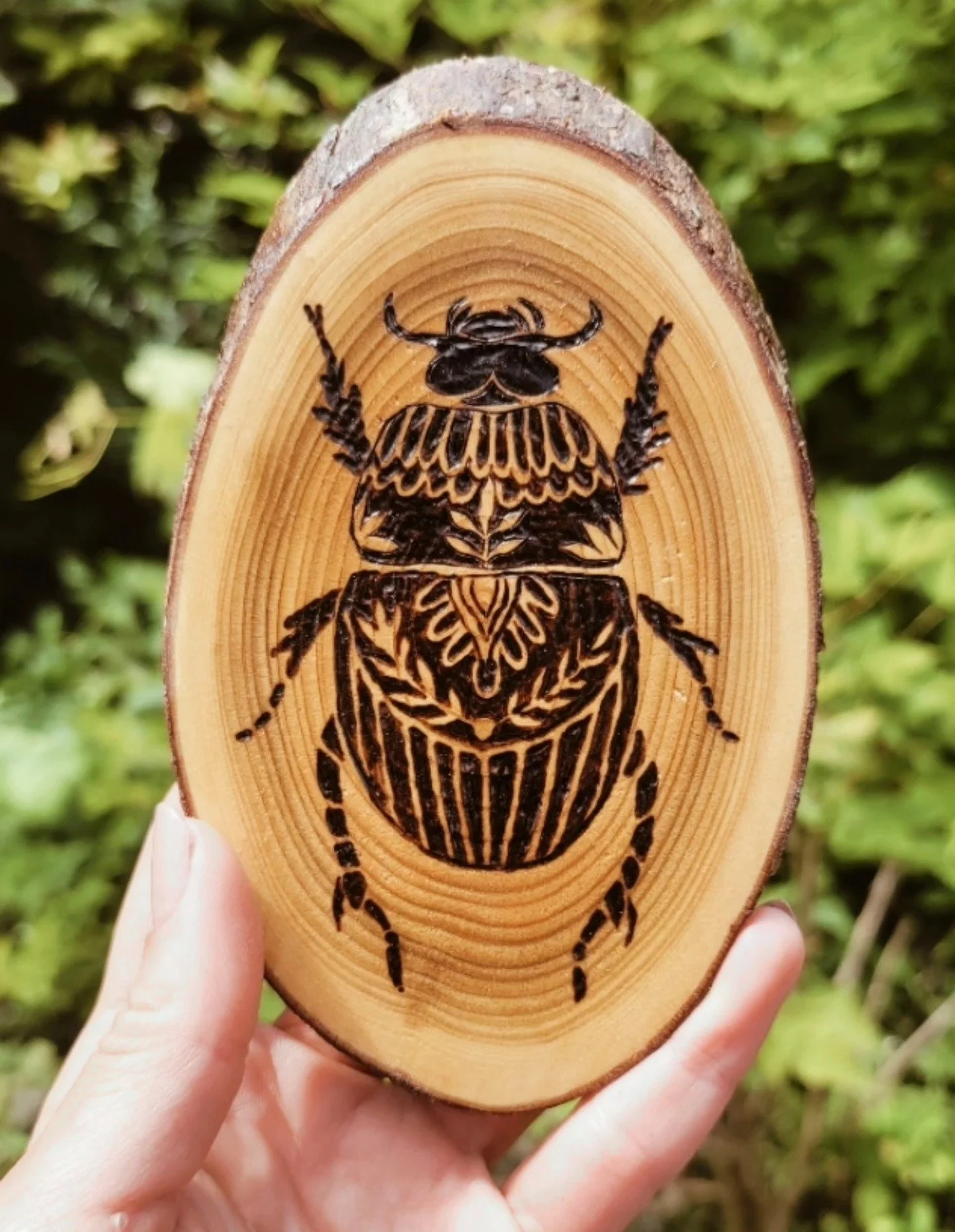 Beetle Design 🪲 
.
.
#woodburning #pyrographyartist #pyrography #woodburningart #woodcraft #woodworking #beetle #illustration