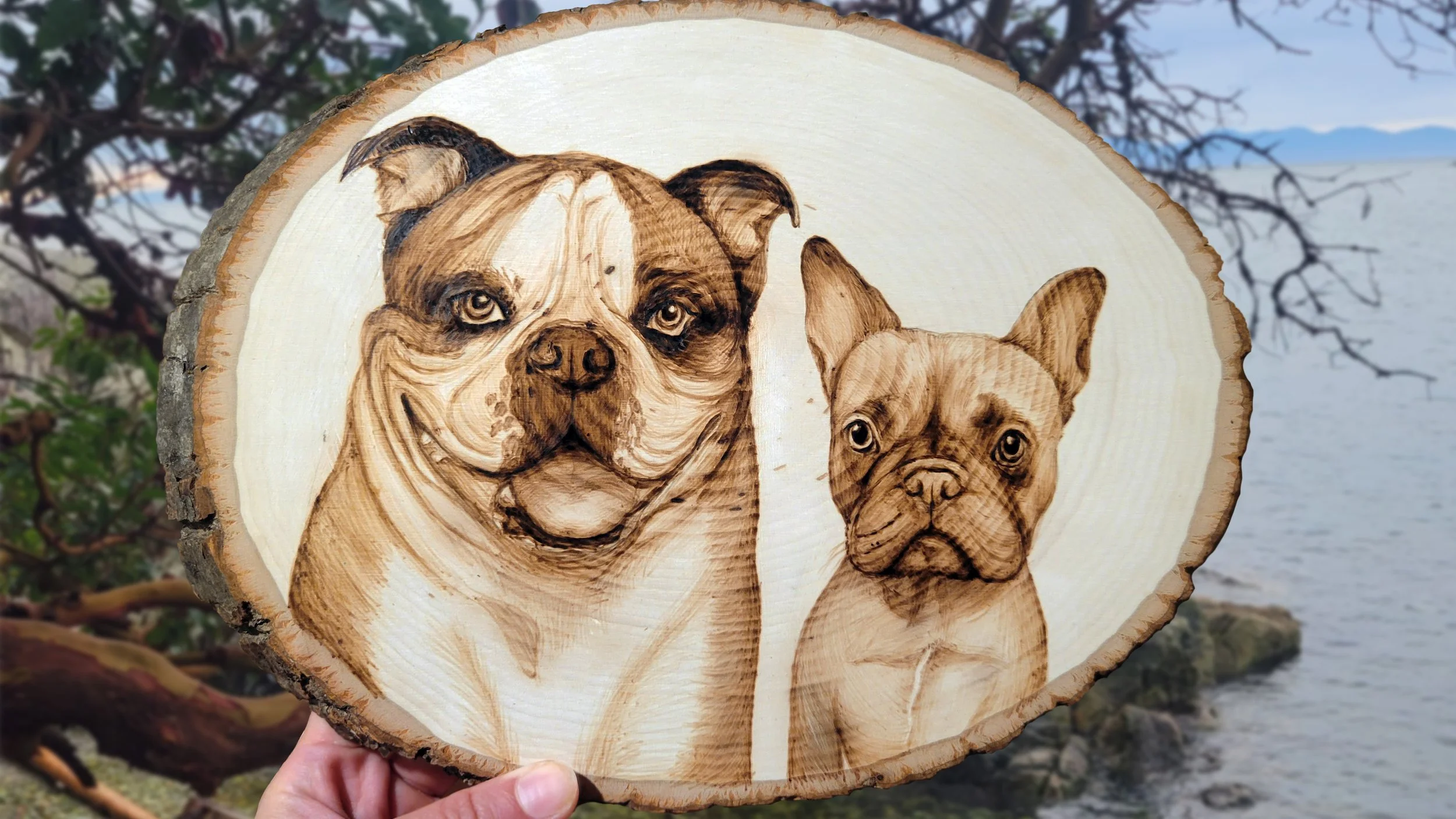 twodogs.jpg