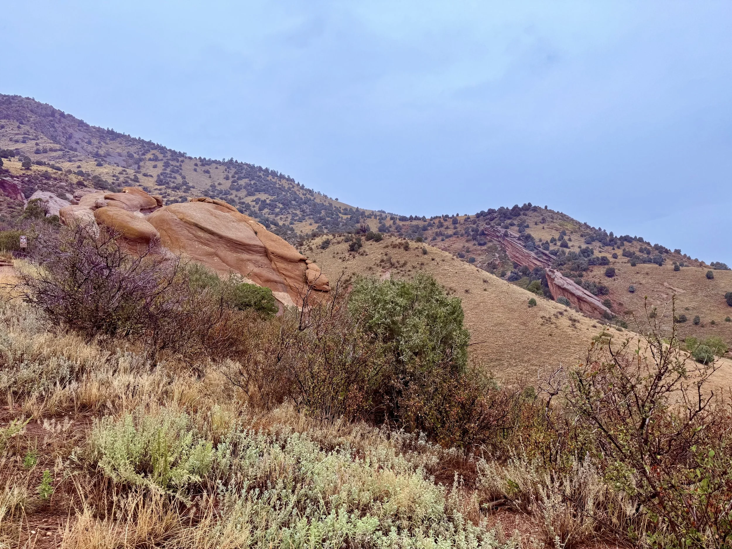 Red Rocks