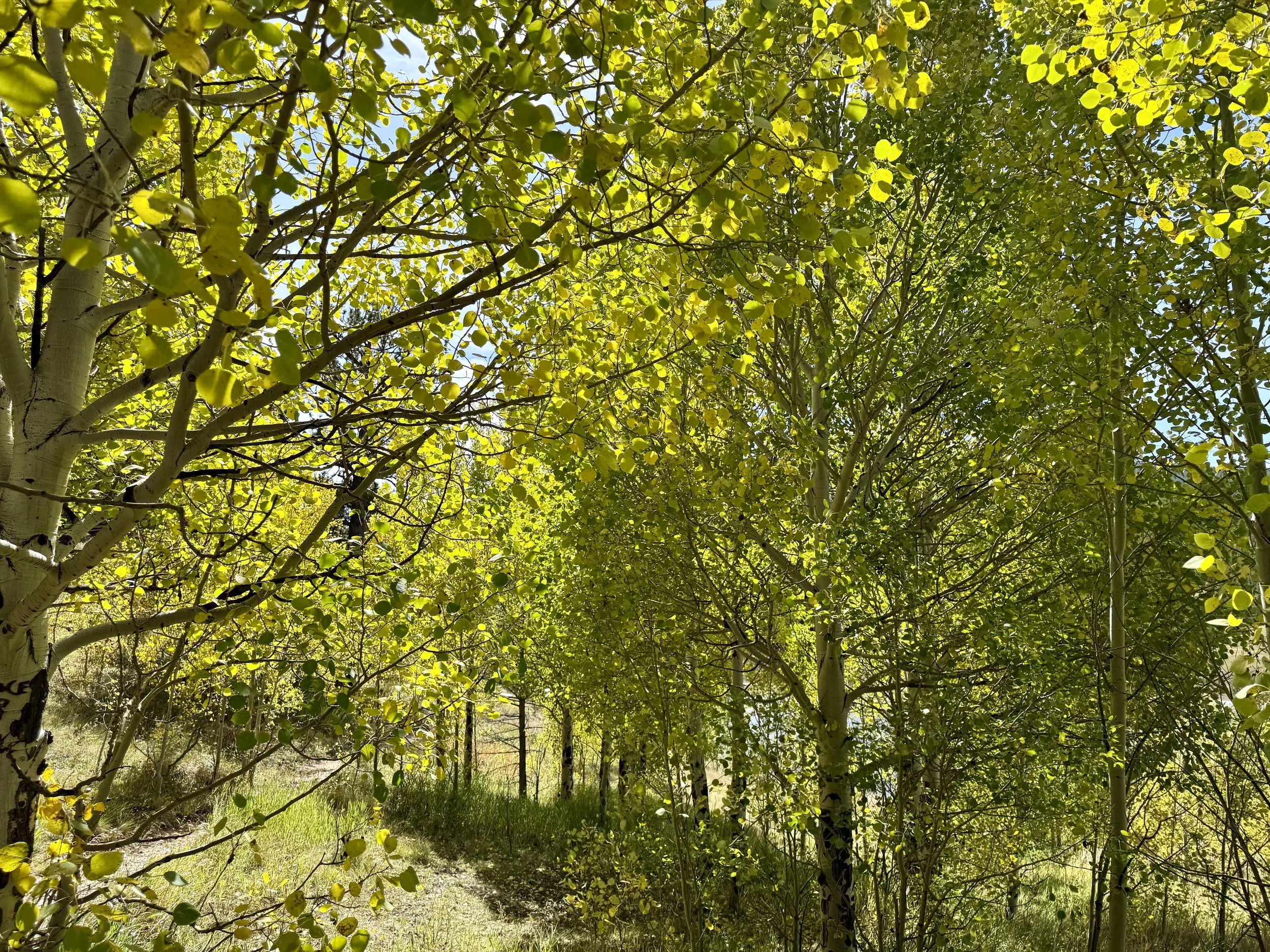 Golden Gate Canyon Park