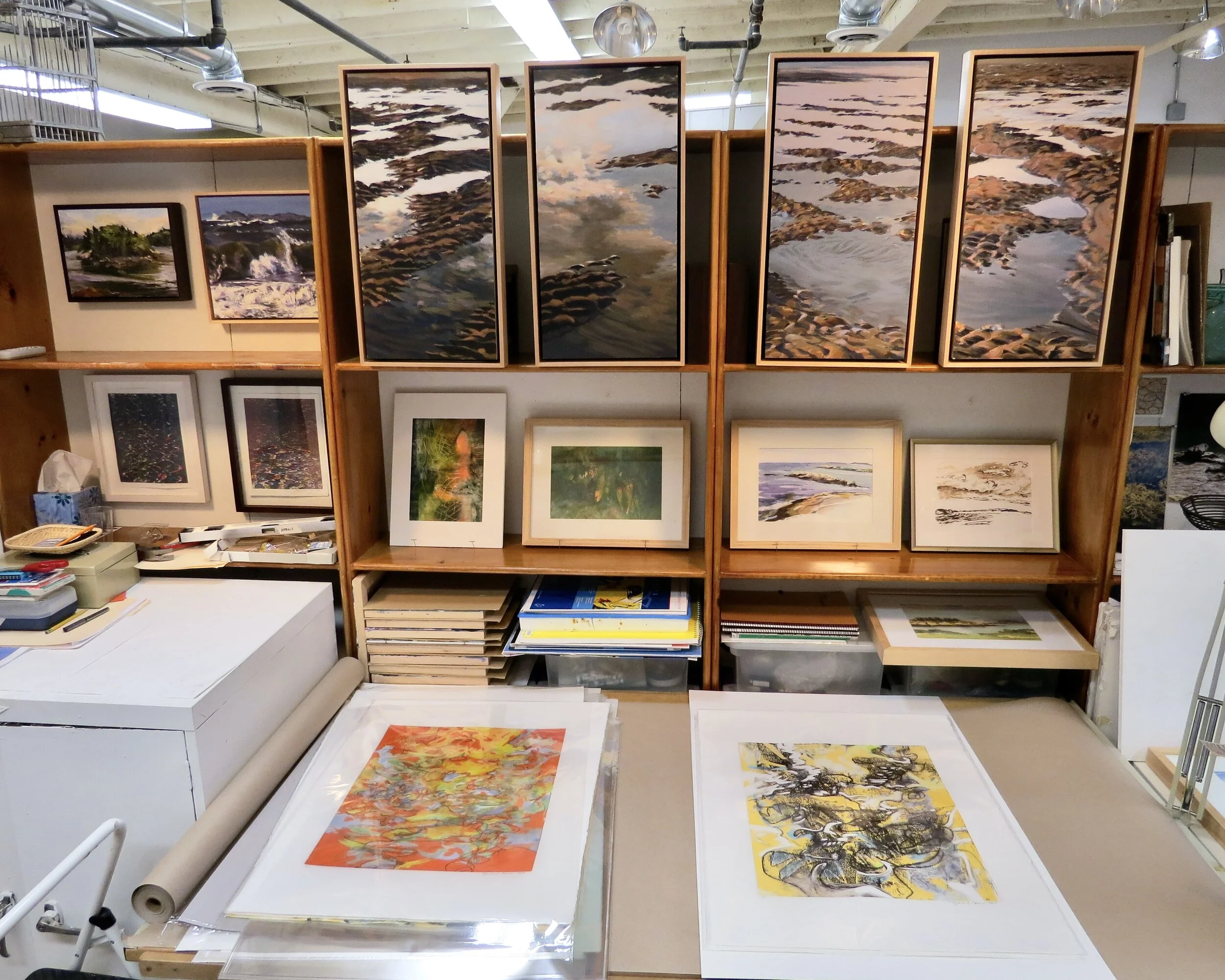 Diane Norris Paintings