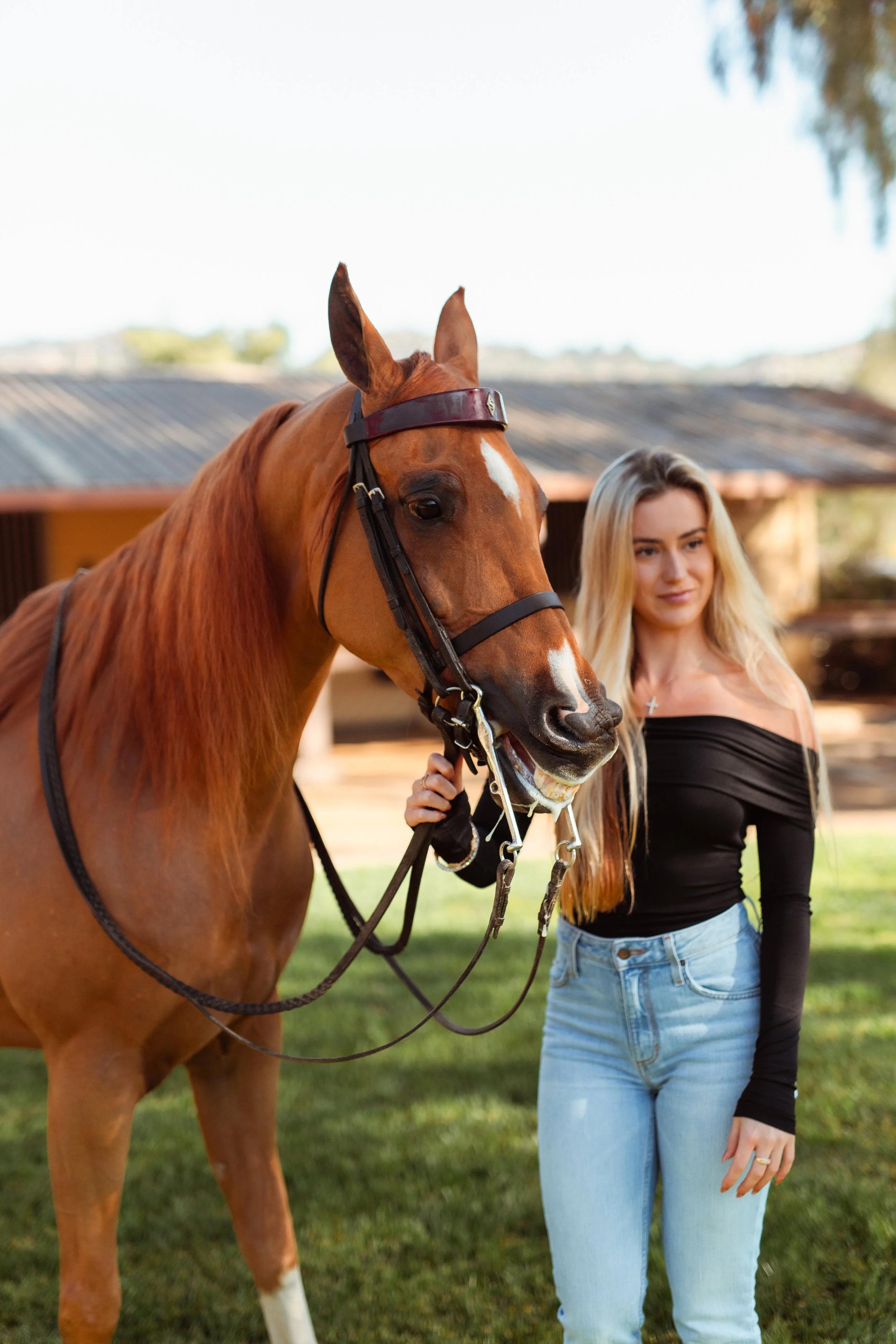 Horse girl aesthetic portrait of a Newport Beach rider embracing her horse during an equestrian photoshoot in San Marcos, California. Soft, natural light highlighting equestrian life, horse love, and authentic connection. Horse photography by Souther