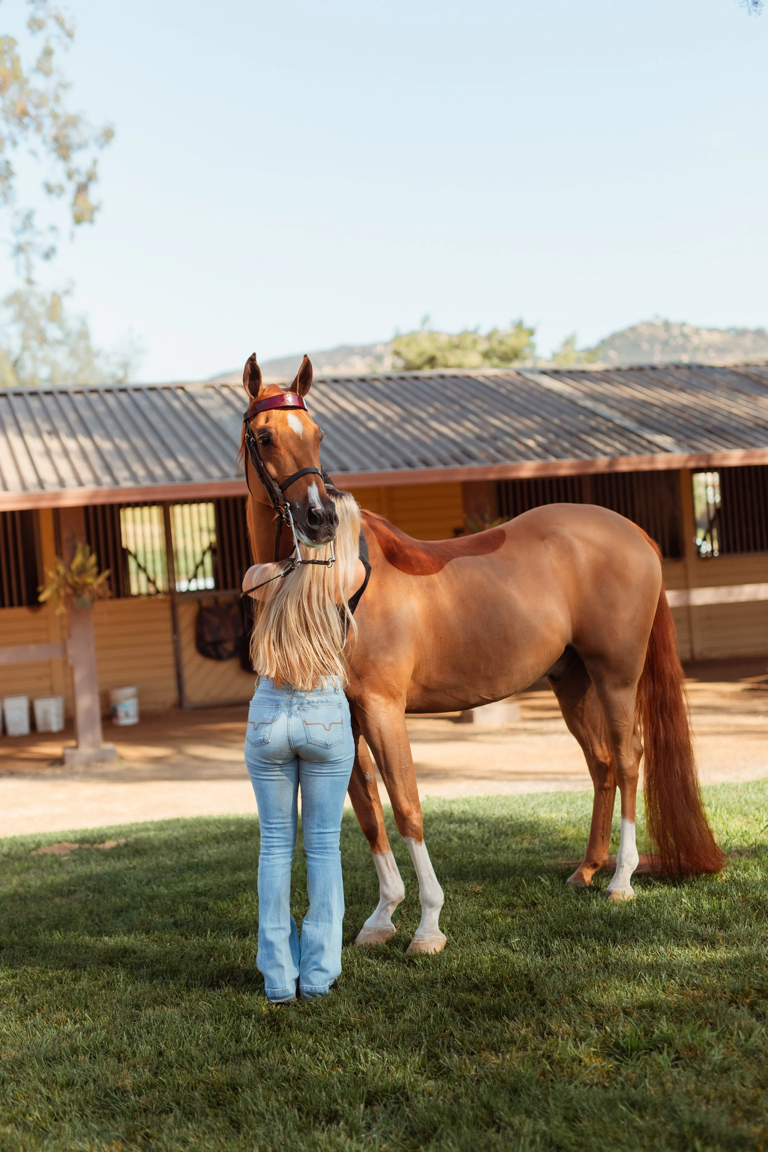 Equestrian lifestyle portrait of a Newport Beach horse rider styled in classic horse girl outfit and riding boots during a horse photoshoot in San Marcos, CA. Western-inspired horse photography aesthetic captured by Southern California lifestyle mark