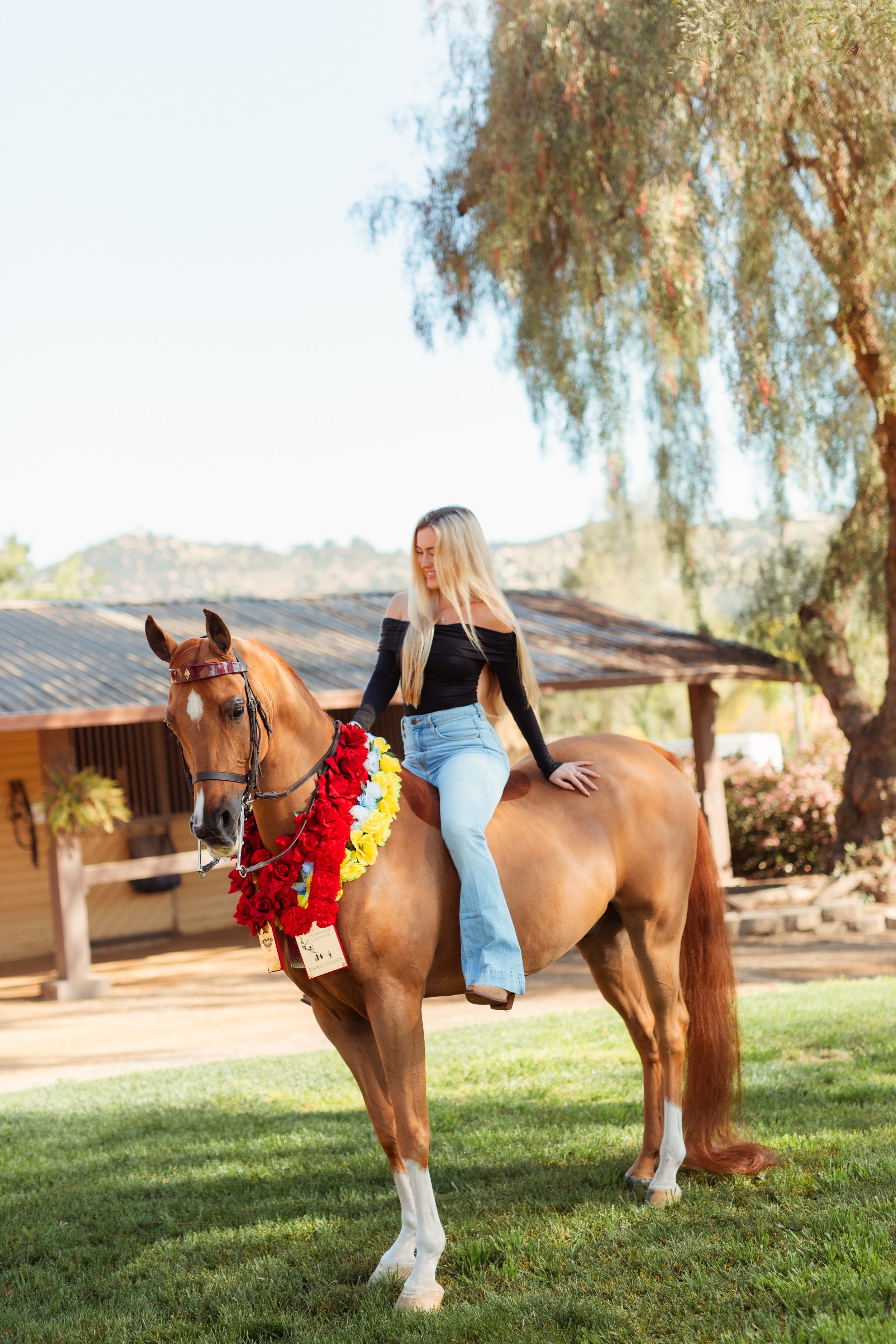 Young Newport Beach equestrian riding her horse in an outdoor arena in San Marcos, CA during a Southern California horse riding photoshoot. Horse riding aesthetic with movement, dust, and golden hour light. Equestrian lifestyle photography captured b