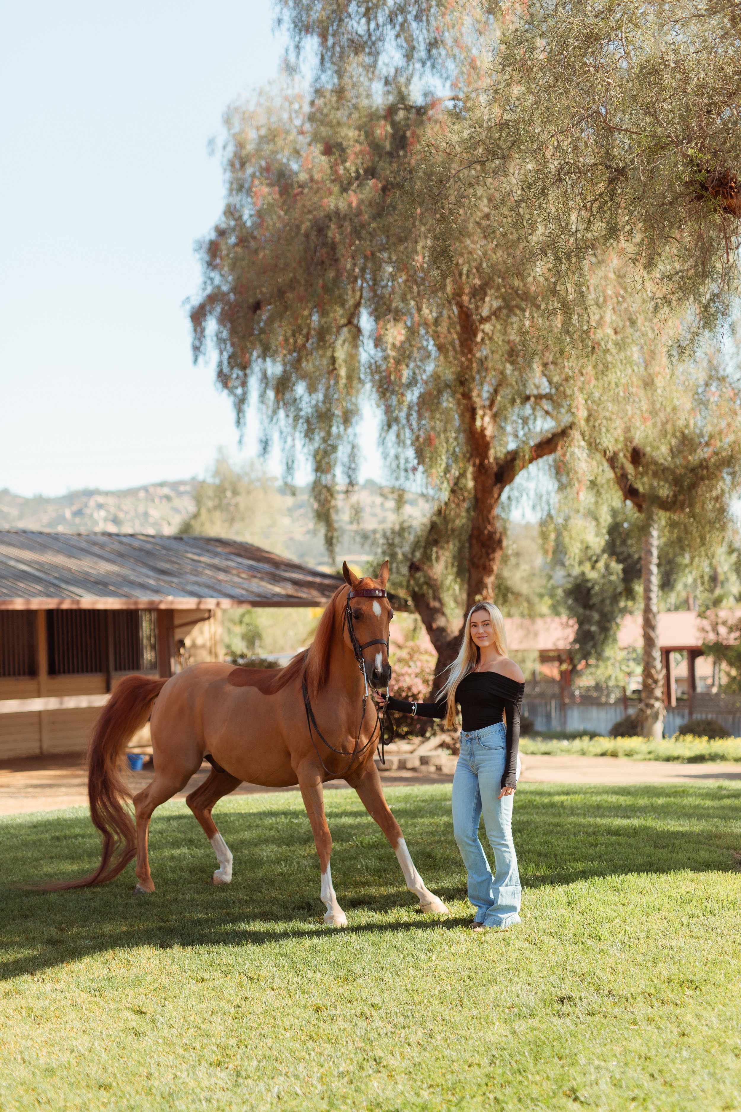 Southern California horse riding aesthetic photoshoot in San Marcos featuring a Newport Beach equestrian girl and her horse against open hills and arena backdrop. Equestrian lifestyle photography capturing movement, freedom, and horse girl style by S