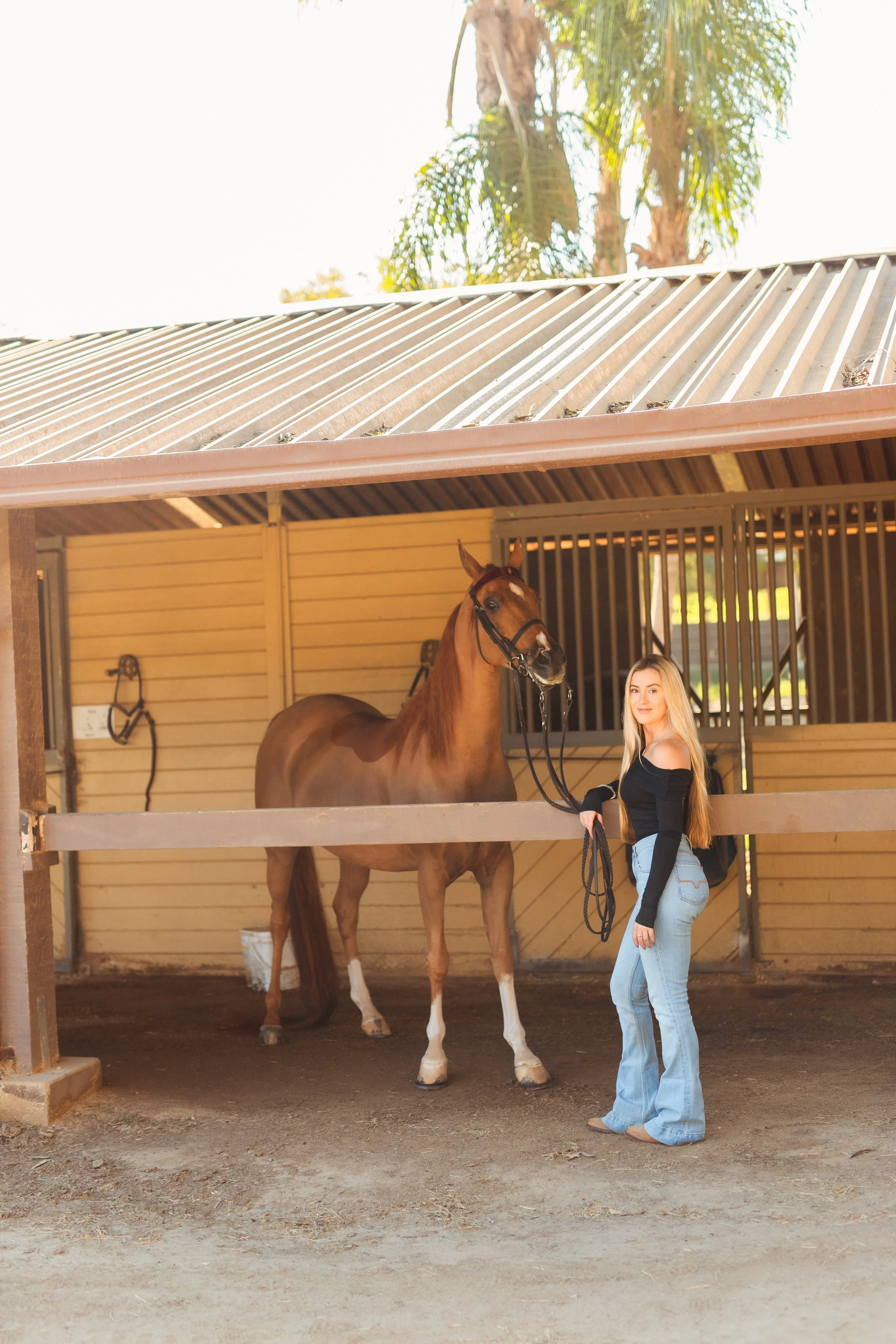 Equestrian lifestyle portrait of a Newport Beach horse rider styled in classic horse girl outfit and riding boots during a horse photoshoot in San Marcos, CA. Western-inspired horse photography aesthetic captured by Southern California lifestyle mark