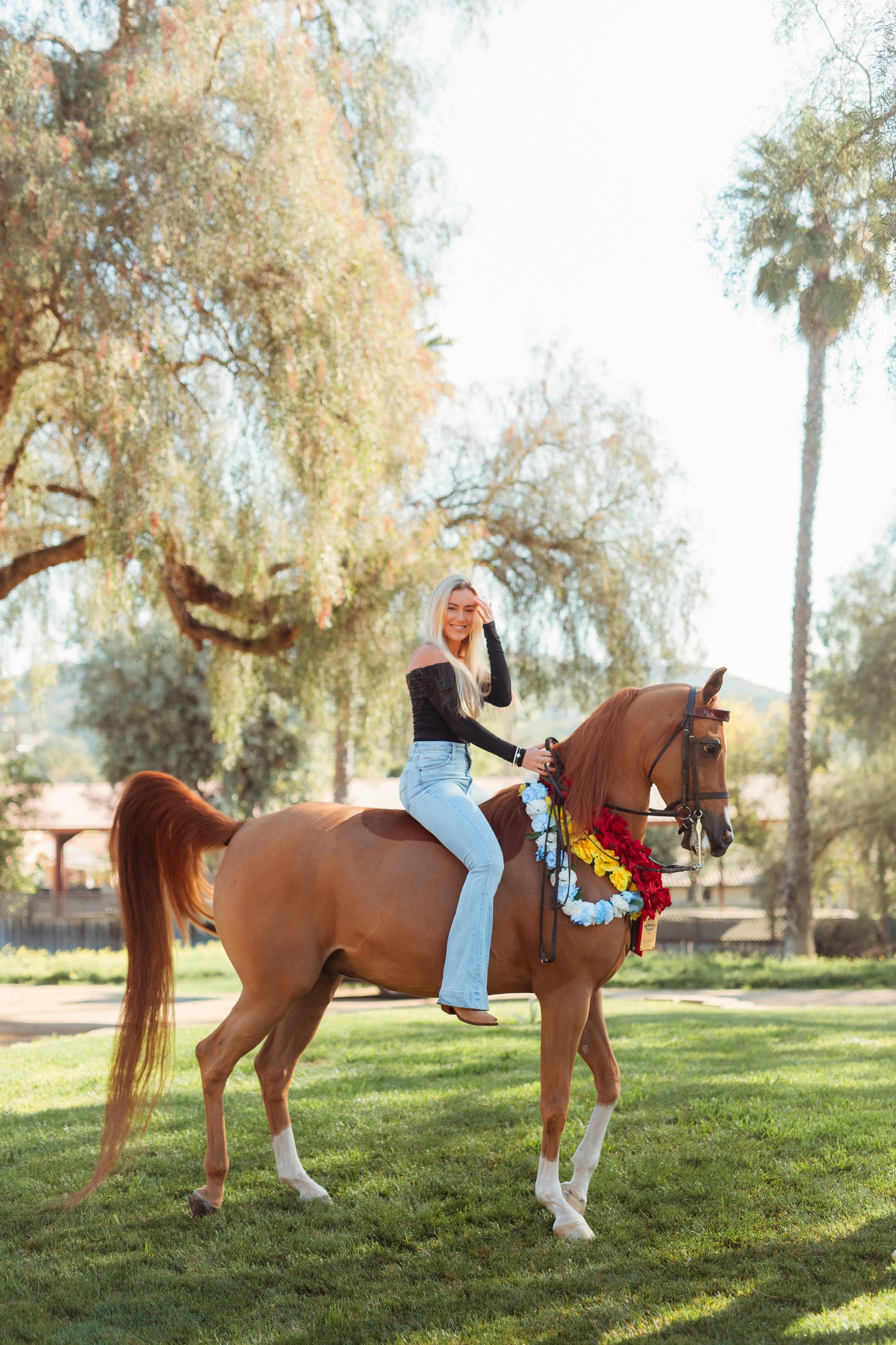 Young Newport Beach equestrian riding her horse in an outdoor arena in San Marcos, CA during a Southern California horse riding photoshoot. Horse riding aesthetic with movement, dust, and golden hour light. Equestrian lifestyle photography captured b