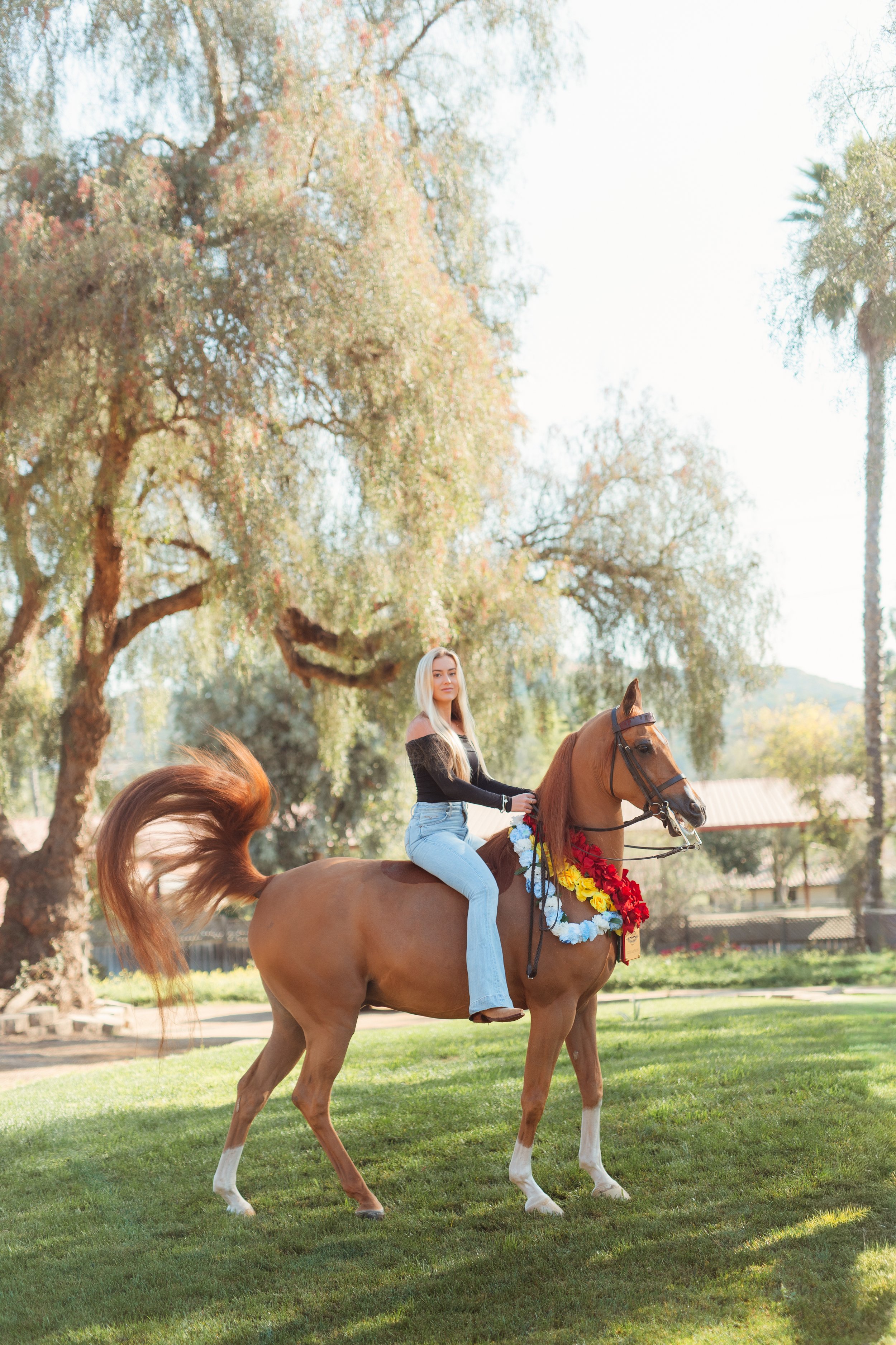 Young Newport Beach equestrian riding her horse in an outdoor arena in San Marcos, CA during a Southern California horse riding photoshoot. Horse riding aesthetic with movement, dust, and golden hour light. Equestrian lifestyle photography captured b